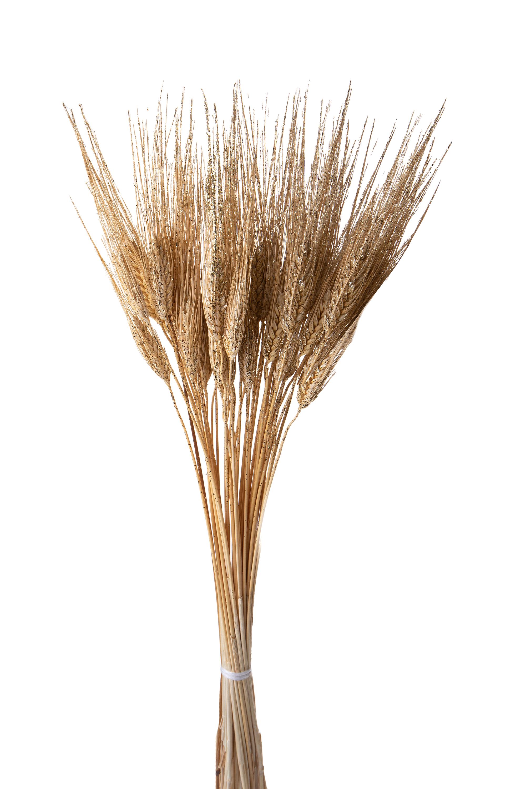 CHRISTMAS ITEMS, DRIED FLOWERS AND STEM ITEMS FOR CHRISTMAS, GRANO TRITICUM 50 PZ BAF/BIAN C/BRILL