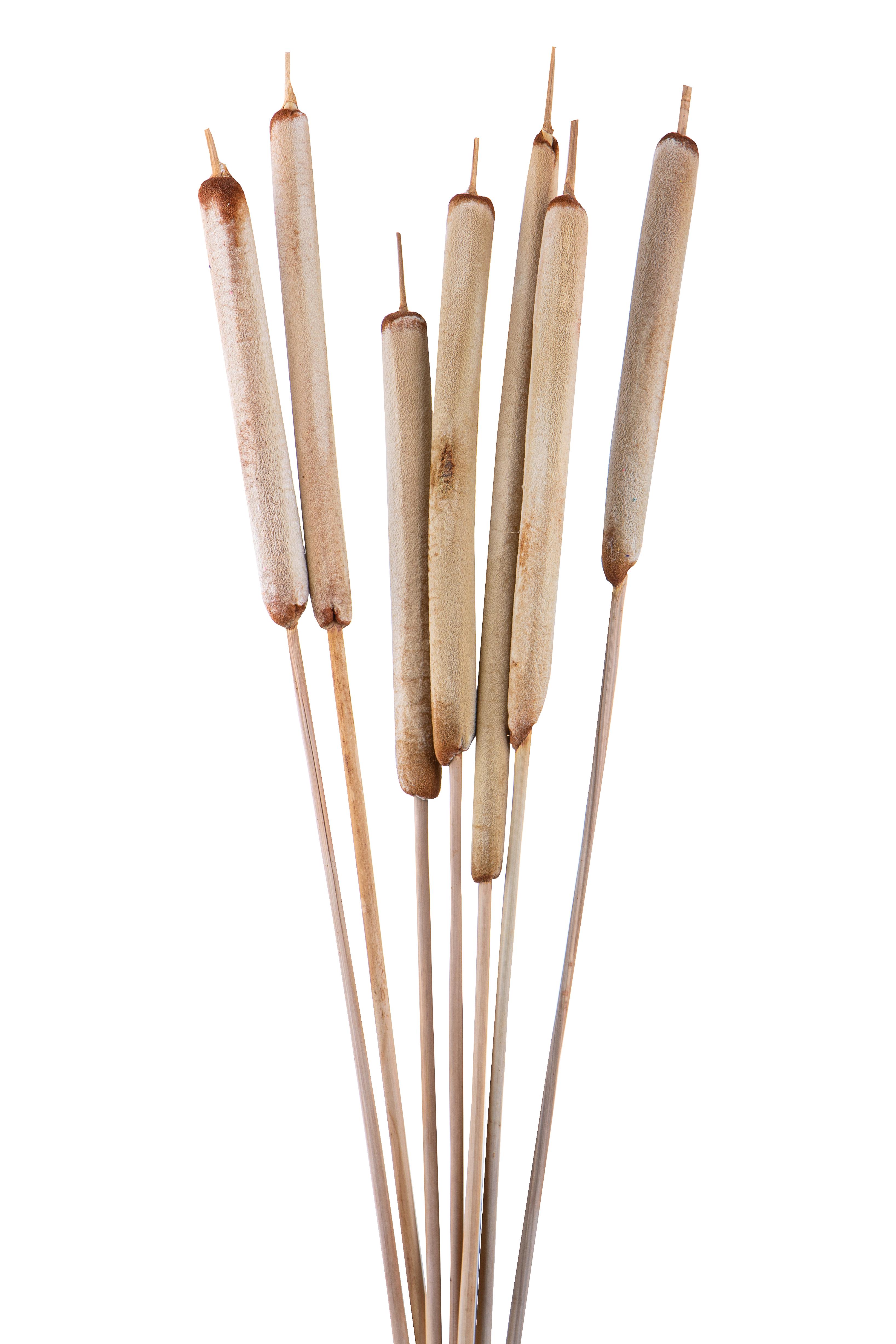 HEARTS, S.VALENTINE, MOM'S DAY,HEARTS IN RATTAN AND OTHER MATERIALS,TYPHA PELATO 7 PZ CREMA