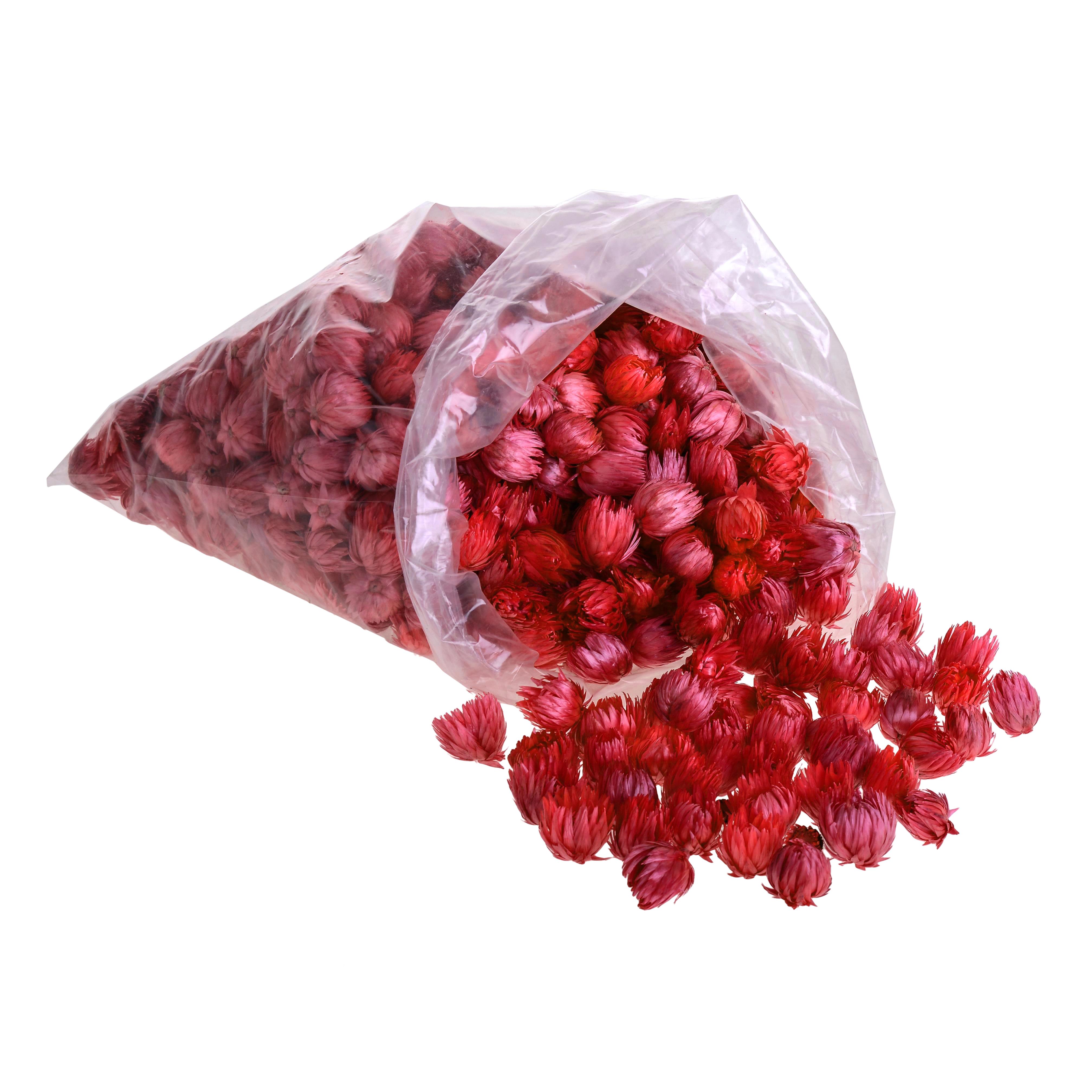 CAPBLUMEN TESTA MEDIA COL. A KG.