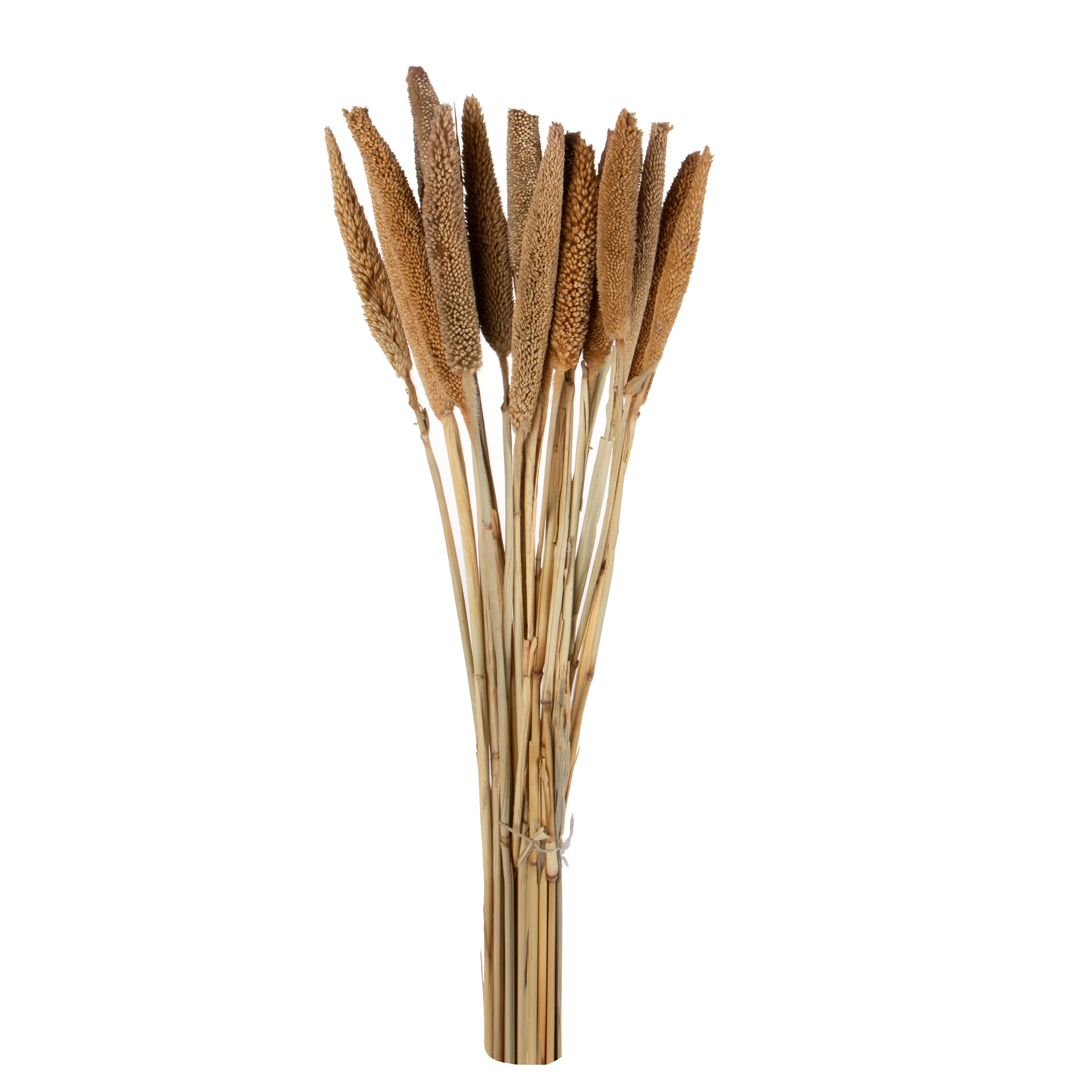BABALA 20 PZ NAT. MEDI IT. 65 CM SACCO