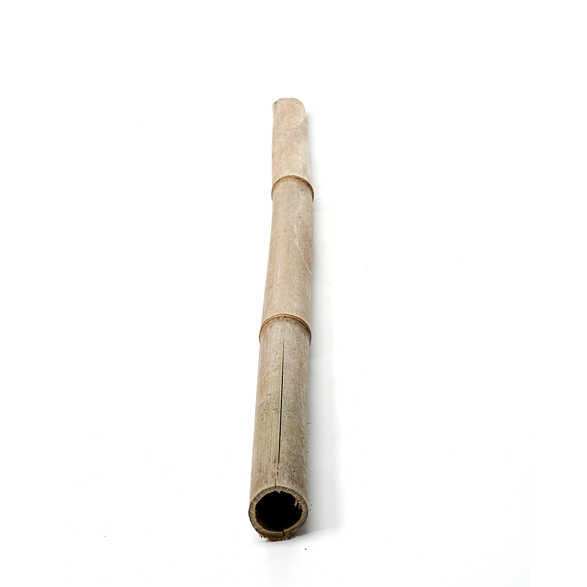 Trockenblumen, Bambus,Manzanit, Bänder und natürliche Strukturen, BAMBOO 160 CM D.4/6 CM