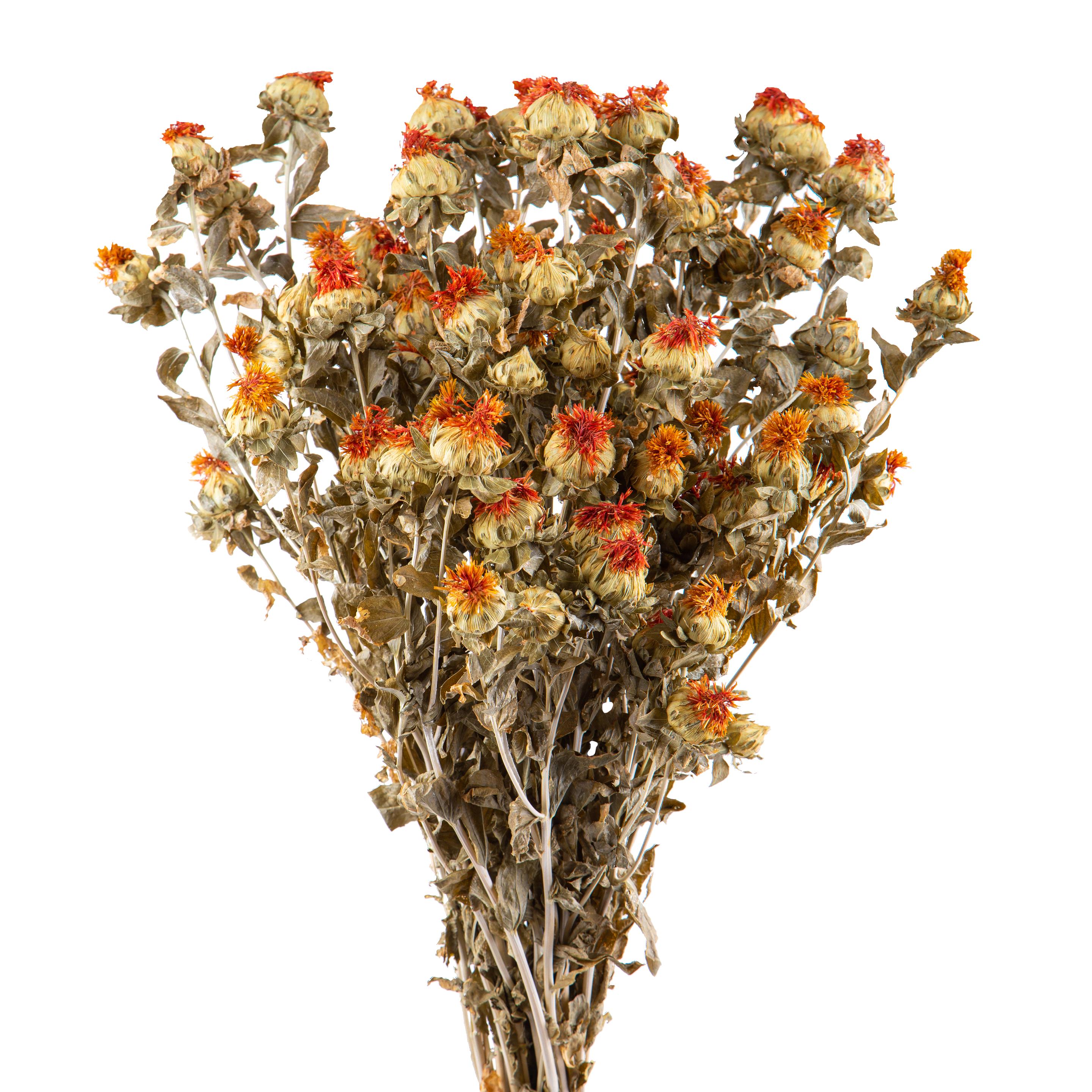NATURAL PRODUCTS DRIED FLOWERS AND ERBS, NATURAL GRASS, CARTHAMUS FIORITO A KG NATURALE