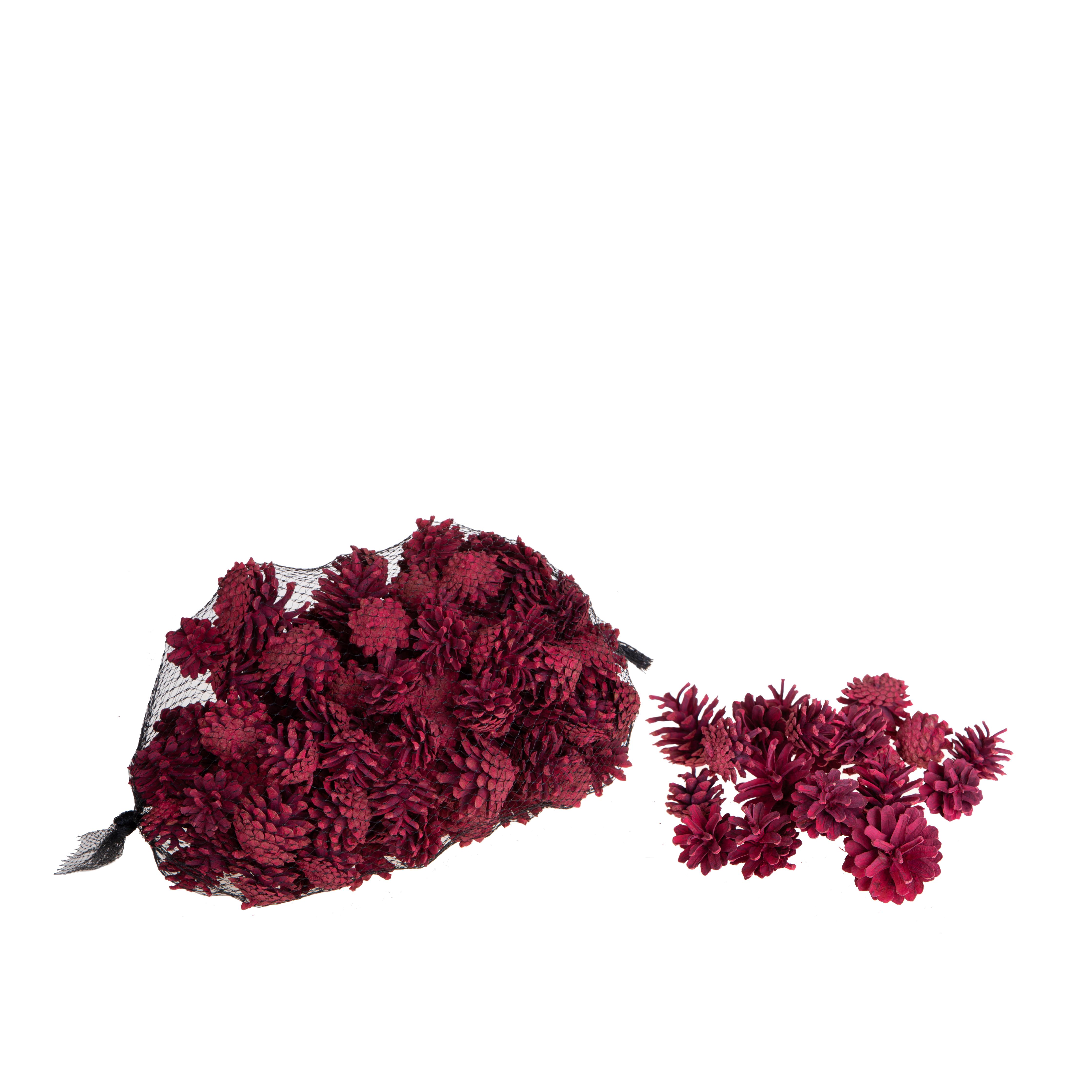 PIGNE PICCOLE 1 KG CA ROSSE