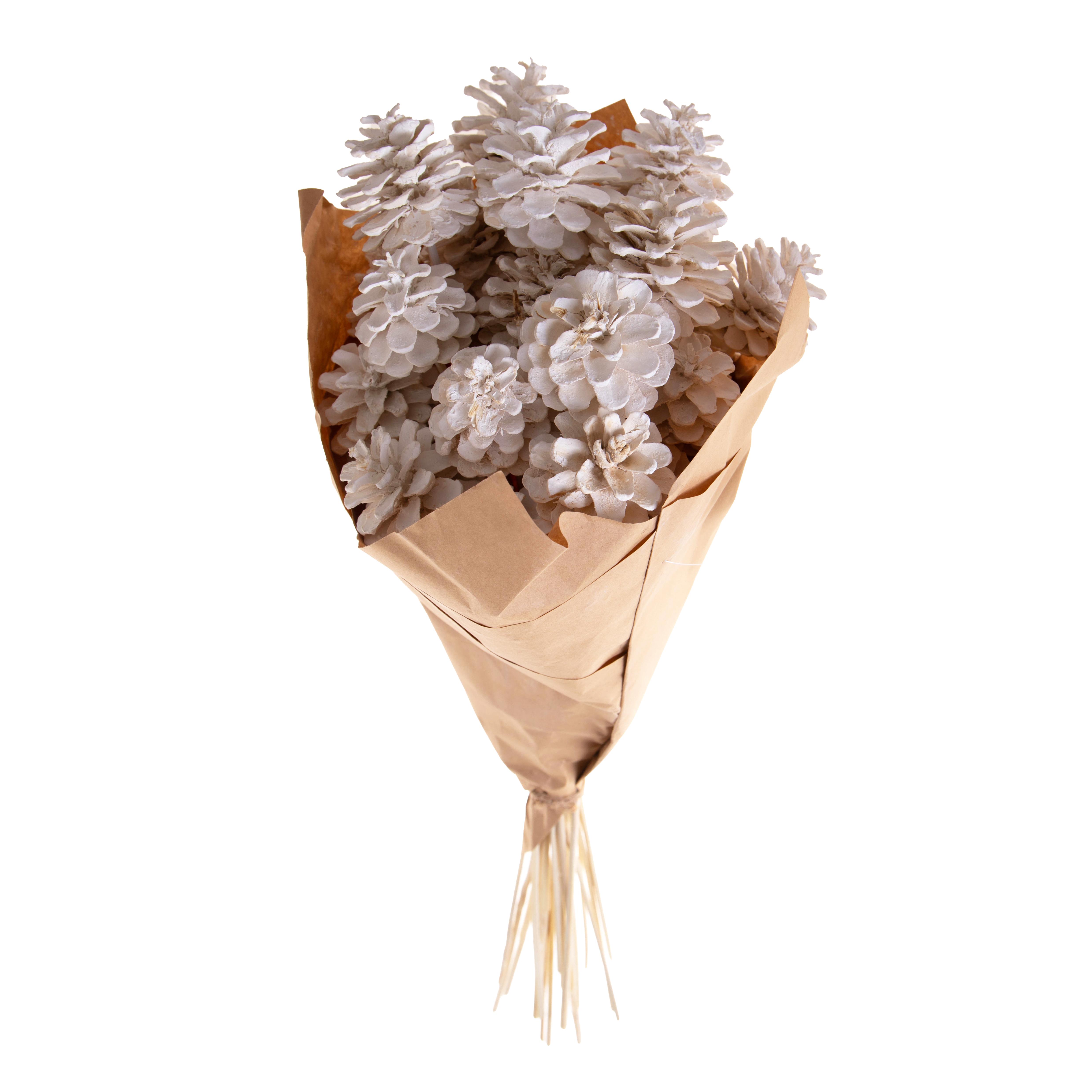 Fleurs et erbs sèchèes, Pommes de pin et fruits montes sur pied, PINE GAMBATE 25 PZ 70 CM SBIANC C/CARTA