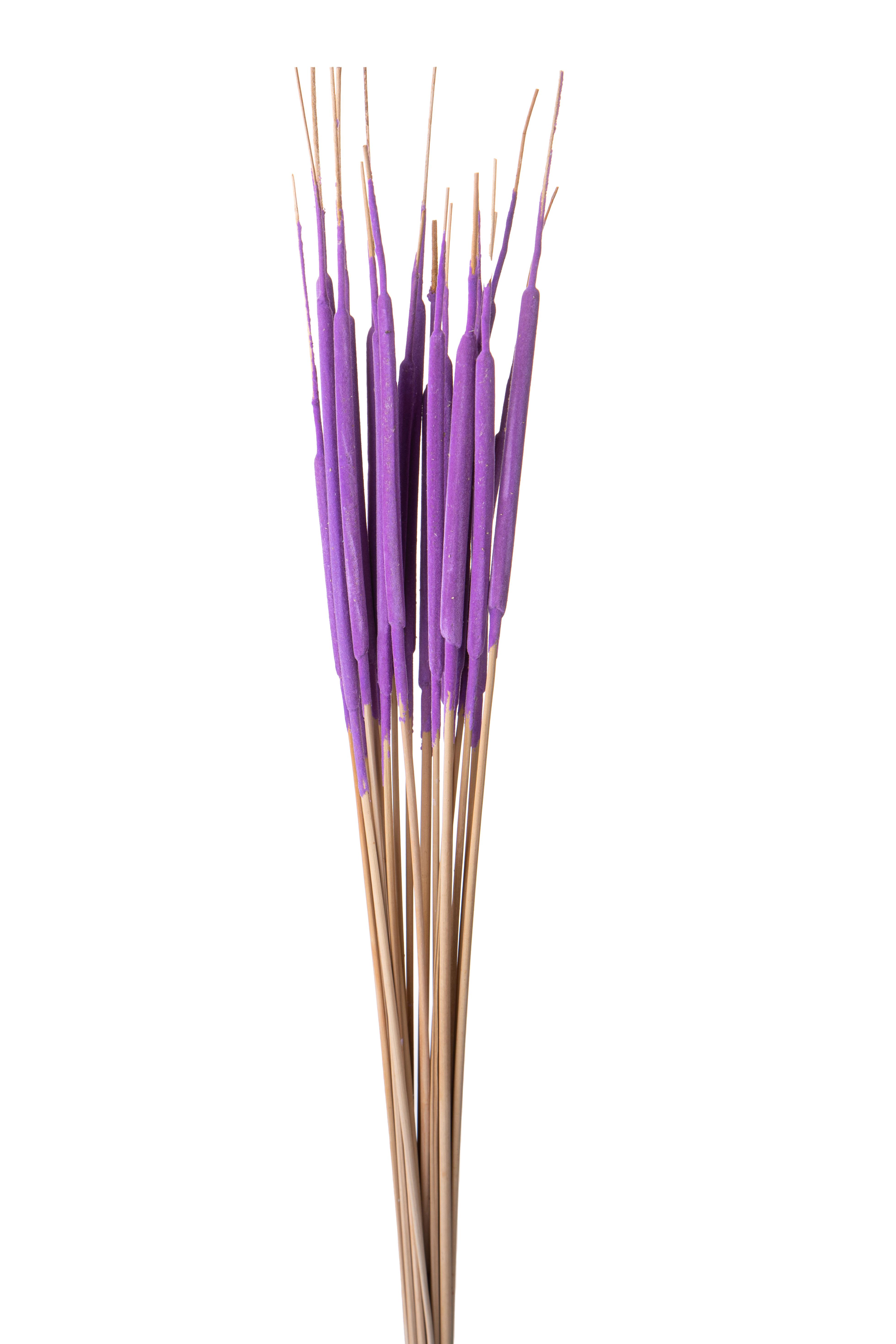 NATURAL PRODUCTS DRIED FLOWERS AND ERBS, COLORED GRASS AND FLOWERS, BIODINI/TYPHA FINE 20 PZ 80 CM