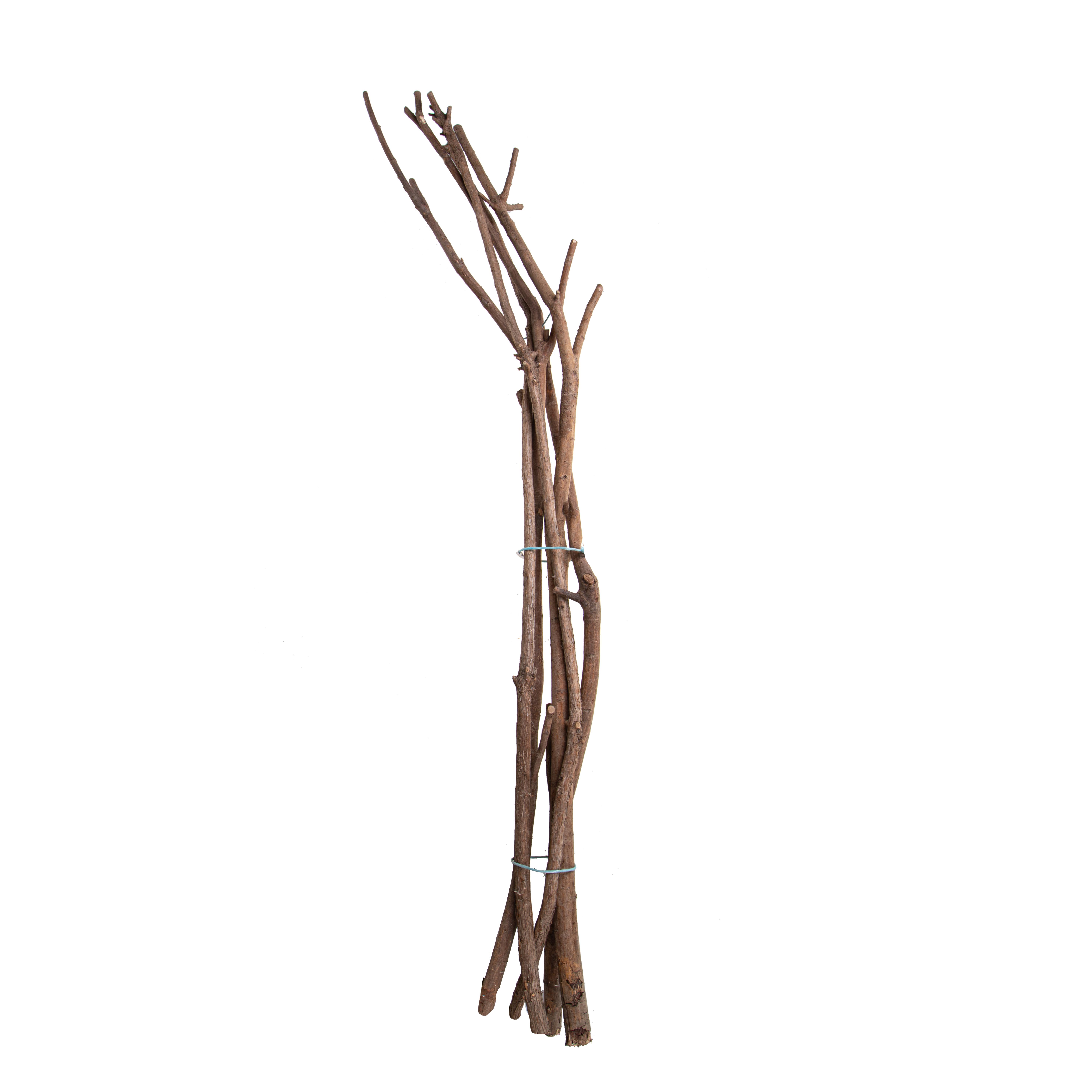 TRONCO 1 PZ NAT 150 CM C.A.
