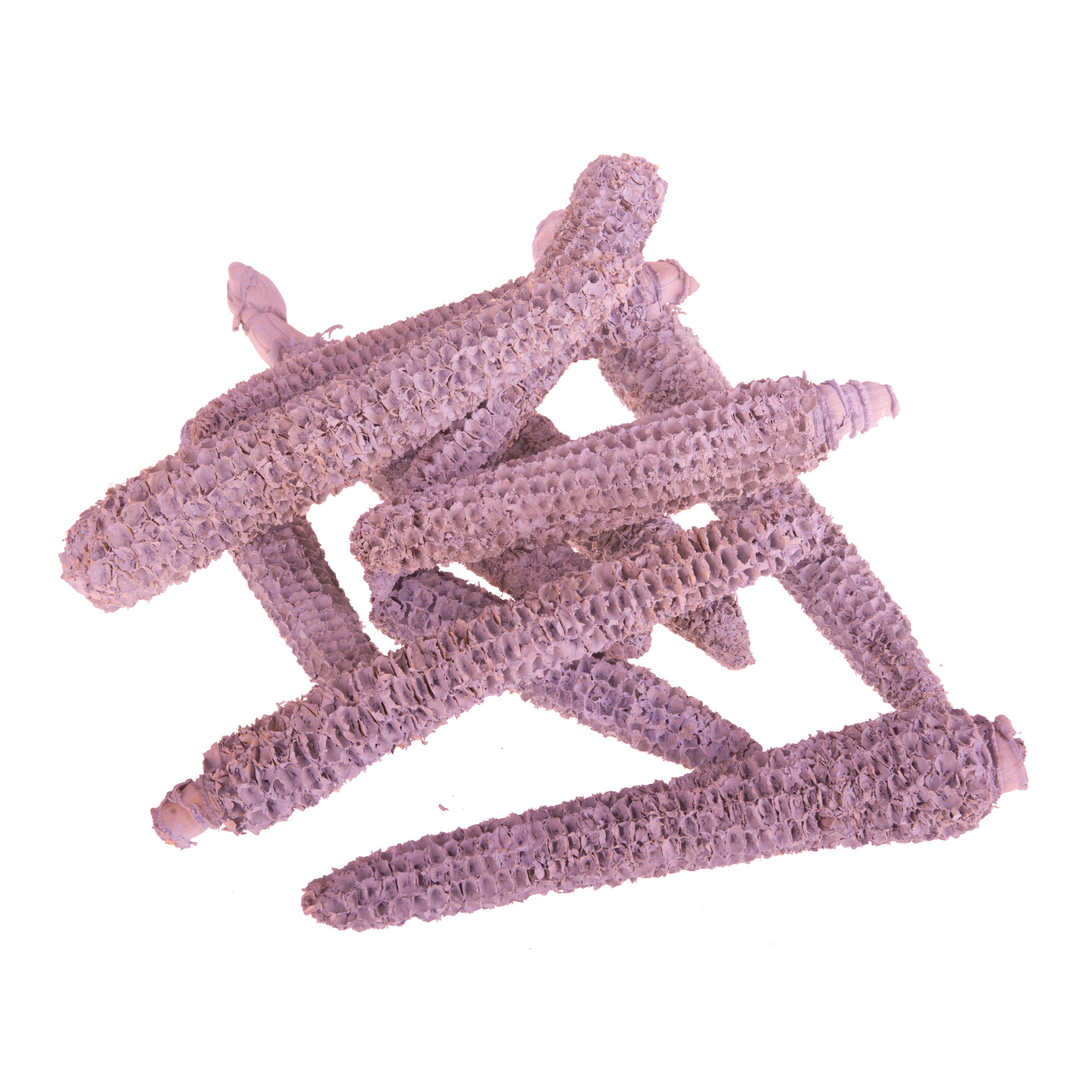 PANNOCCHIA S/SEMI 20 PZ RETE CALCIN.