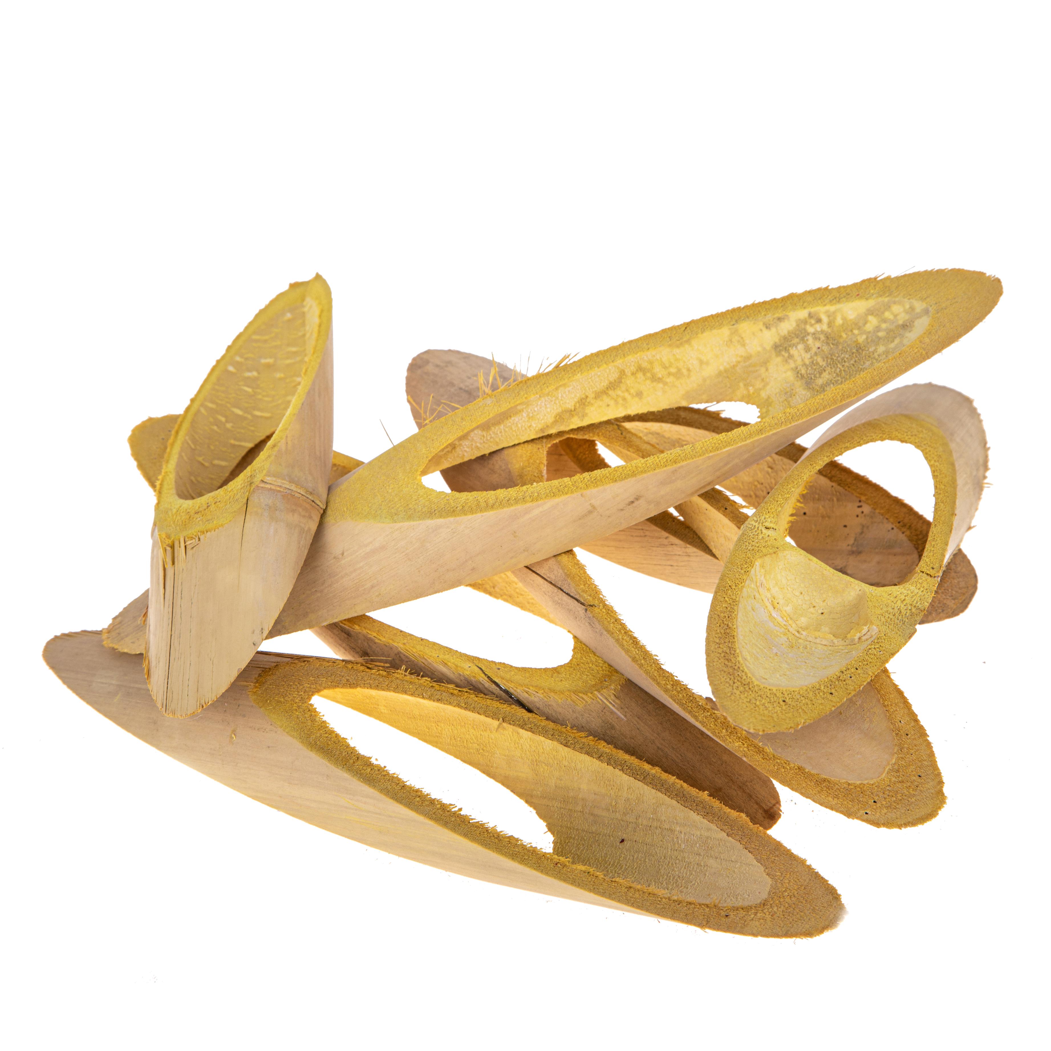 CANNE GROSSE A FETTE COLORATE A KG