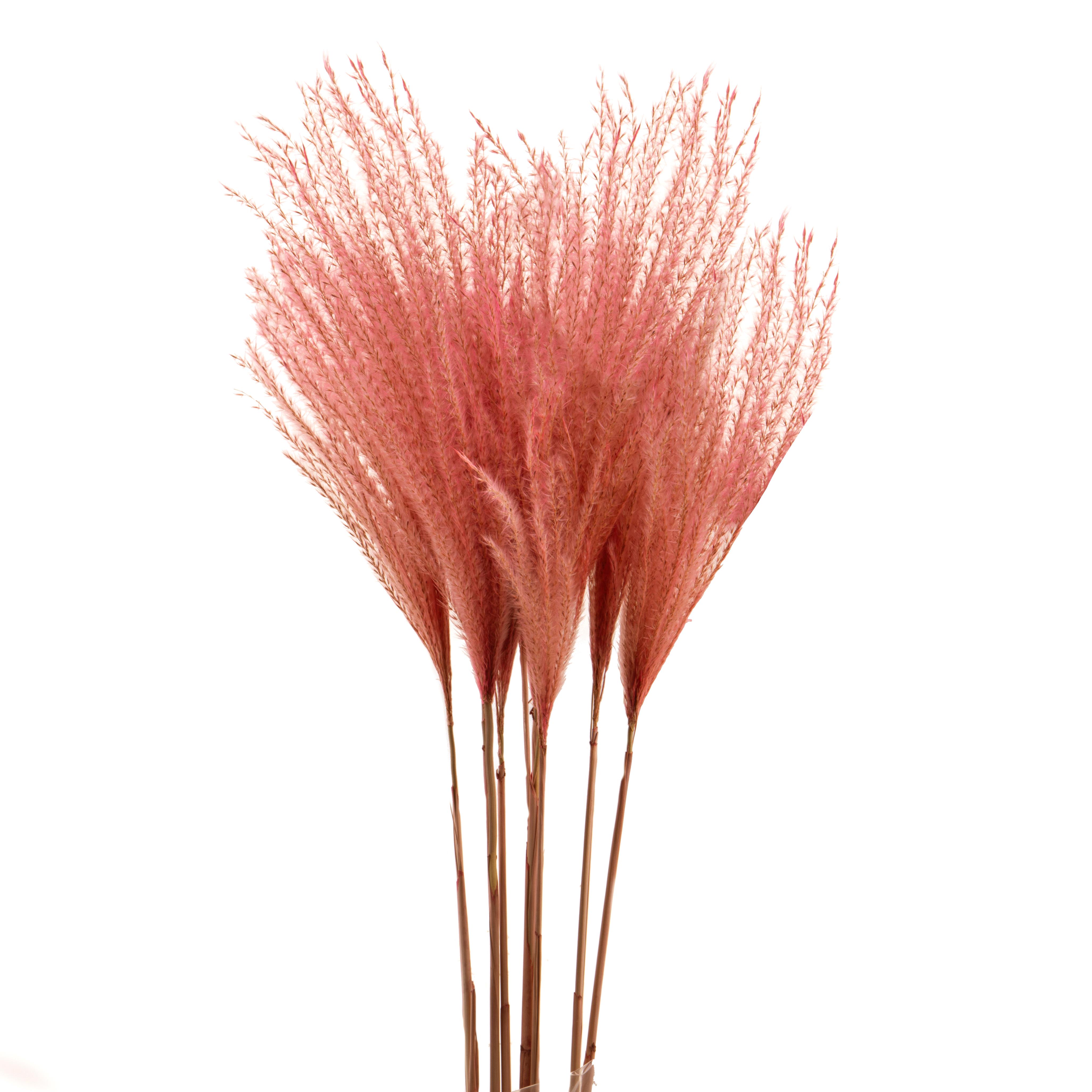 EULALIA 1 PZ 130 CM - SACCO COLORATA