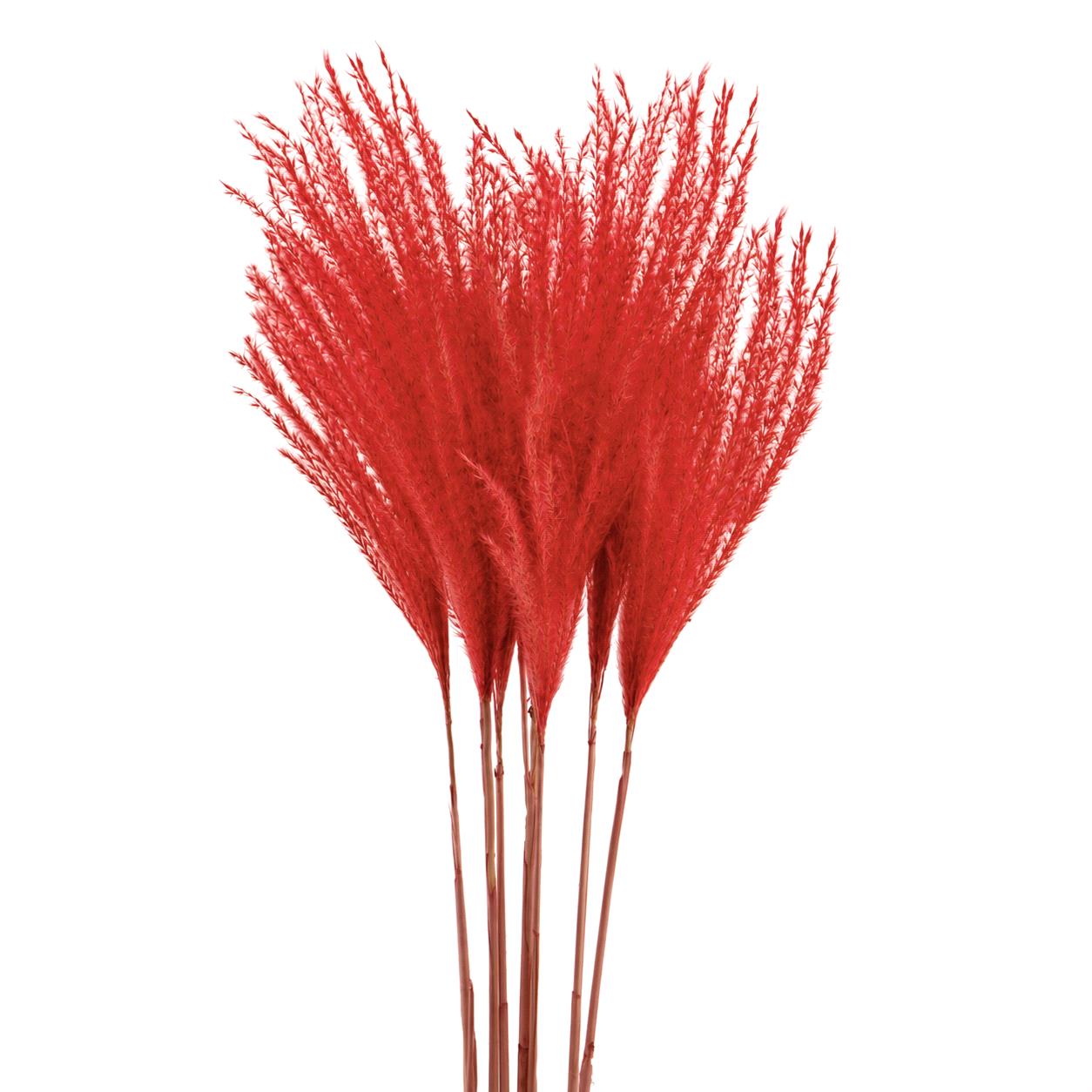 EULALIA 1 PZ 130 CM - SACCO COLORATA