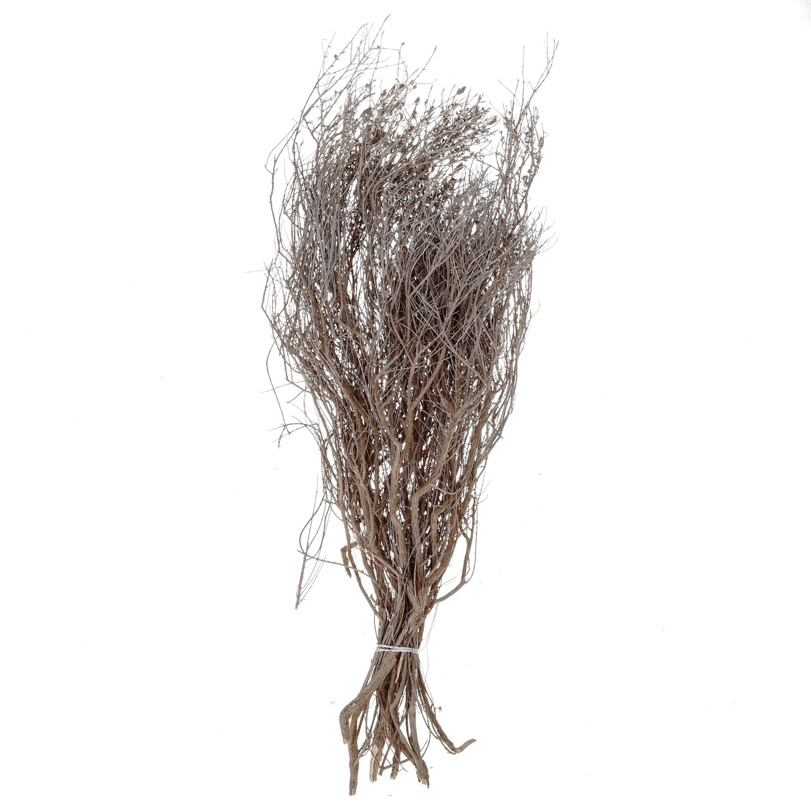 STIPA PROF. 40 CM FUSO
