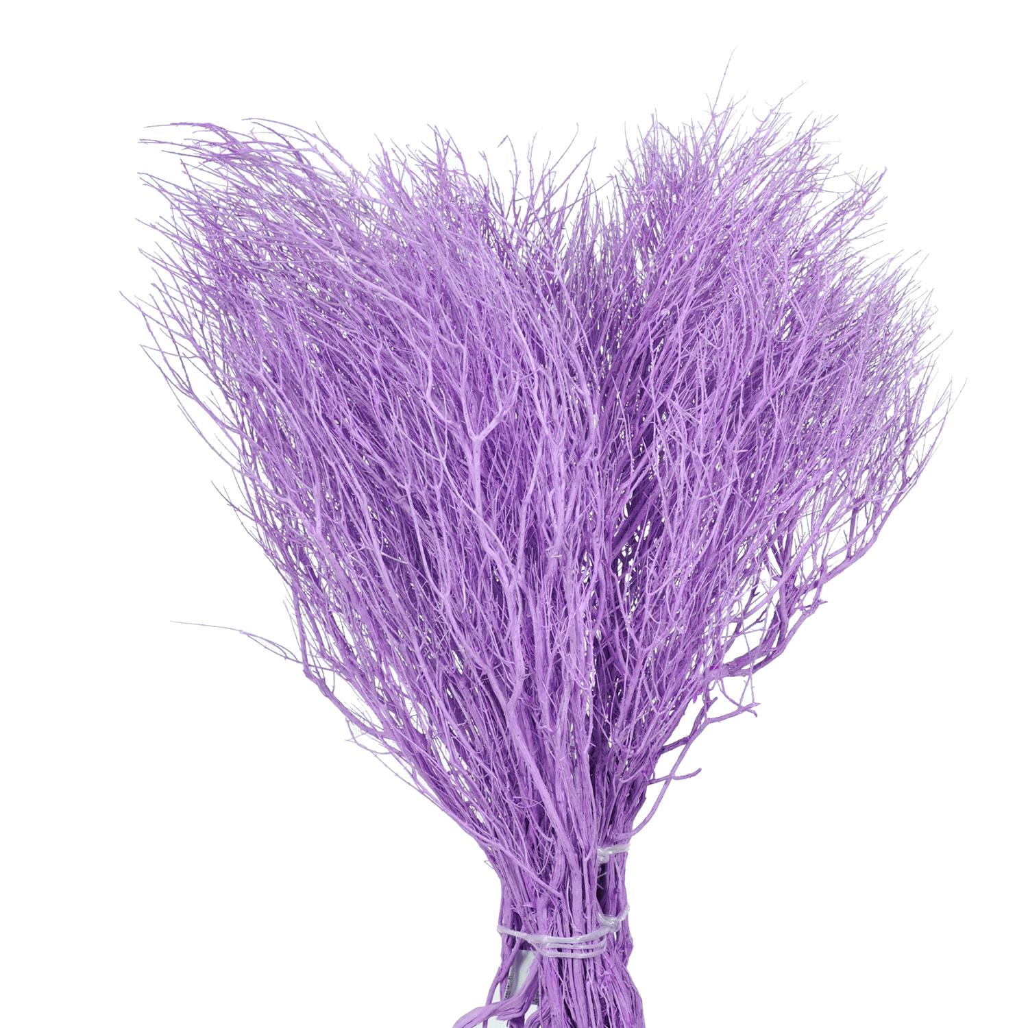 NATURAL PRODUCTS DRIED FLOWERS AND ERBS, COLORED GRASS AND FLOWERS, STIPA 40 CM MAZZO SBIA/COL