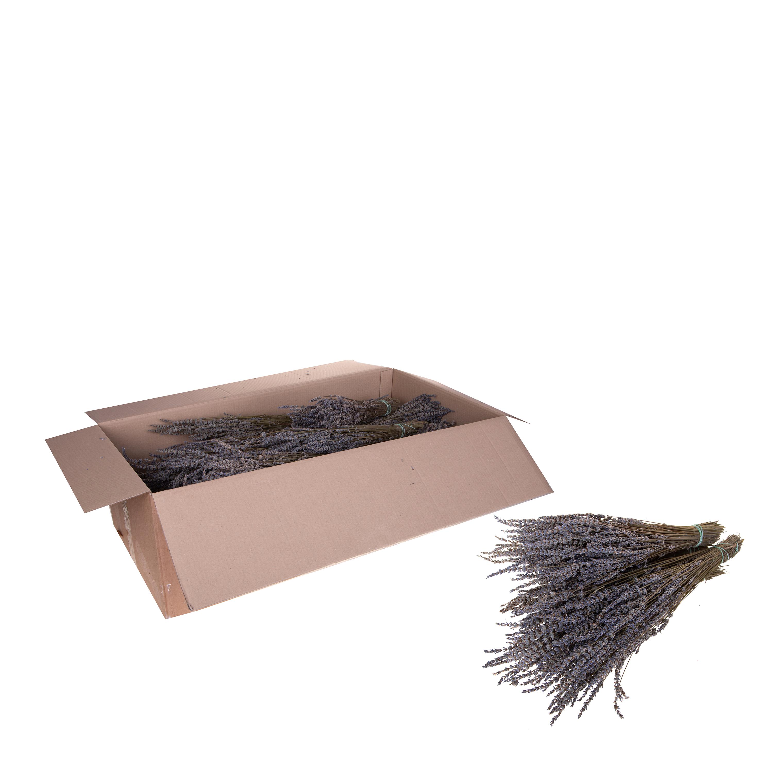 LAVANDA 45 CM A KG NATURALE