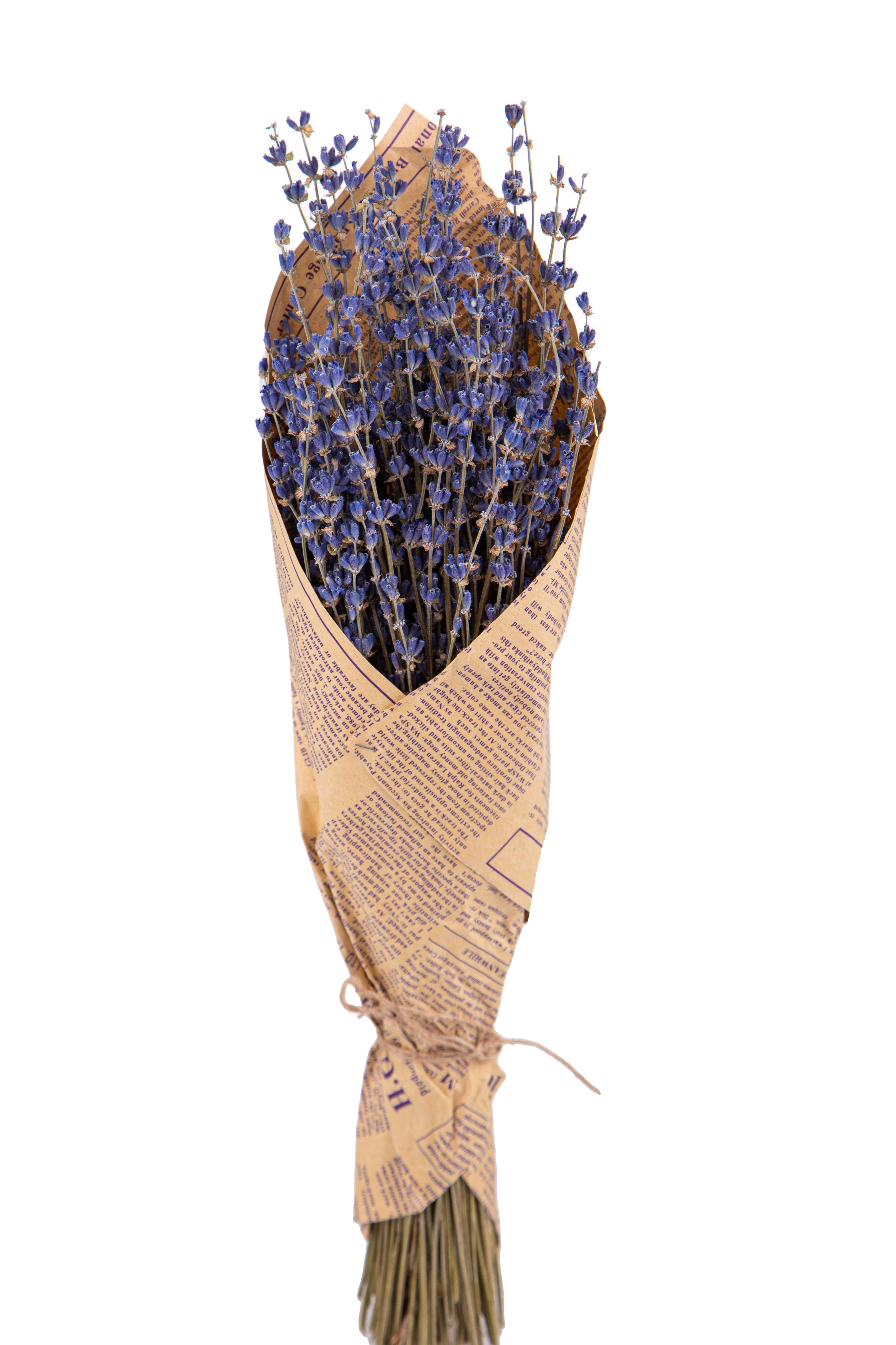 PRODOTTI NATURALI FIORI E RAMI ESSICCATI, FIORI, FRUTTI E PROTEE NATURALI, LAVANDA NATURALE MAZZO CARTA 40 CM