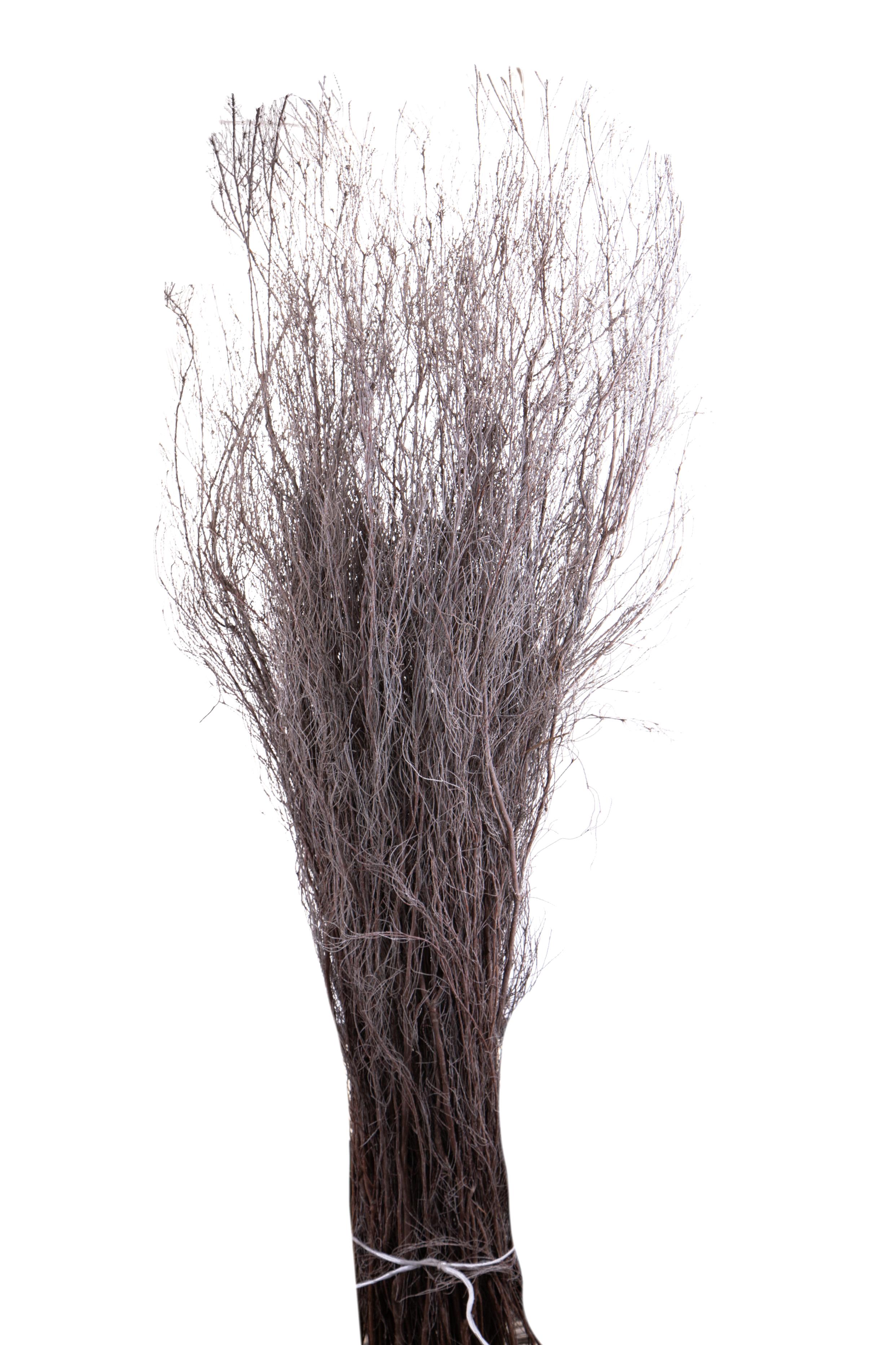 PRODOTTI NATURALI FIORI E RAMI ESSICCATI, BAMBOO,TRONCHI,MANZANITE, FASCI NATURALI, MAZZO STIPA 130/170 CM NAT. 400 GR