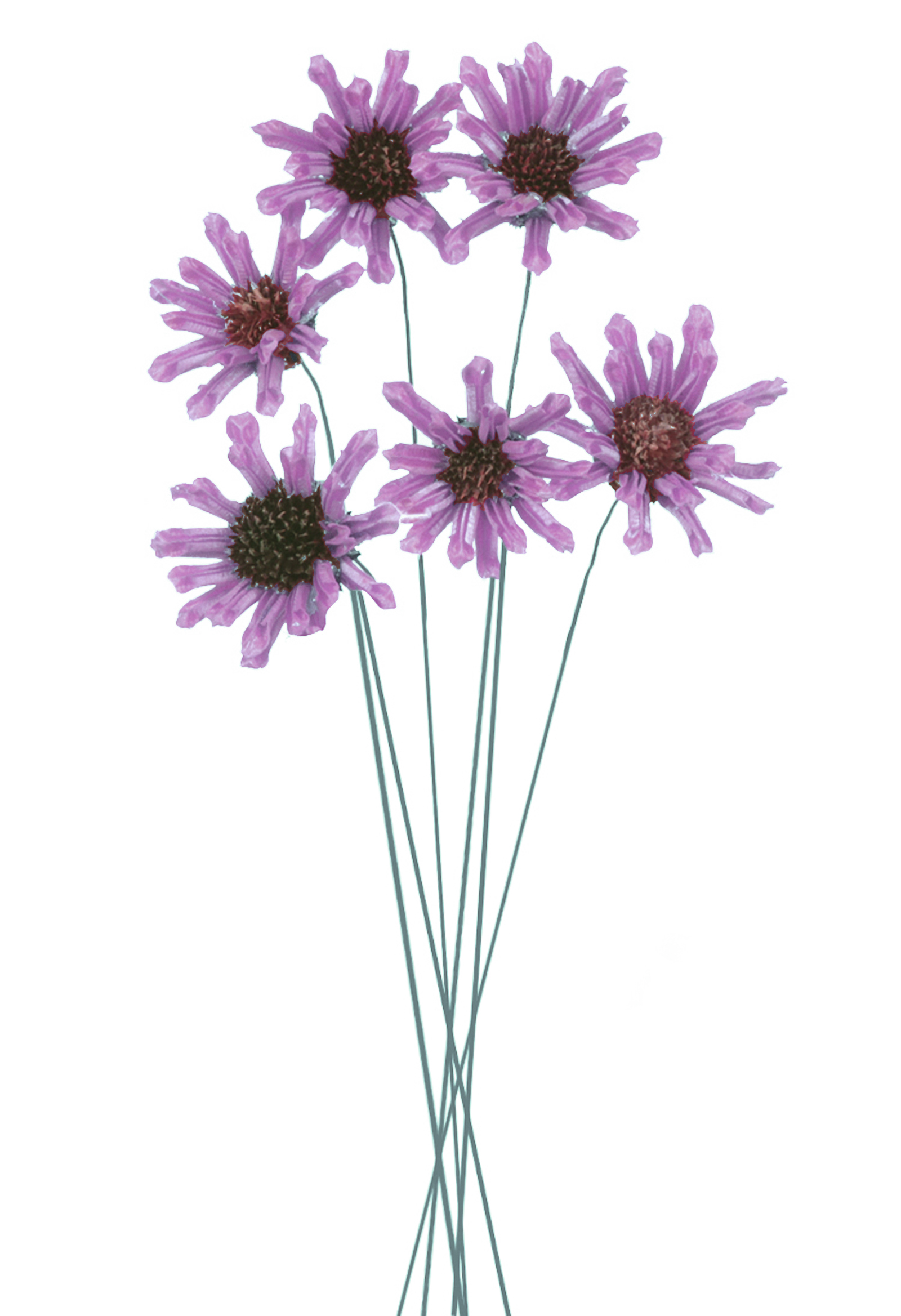 MARGHERITA 6 PCS 60 CM