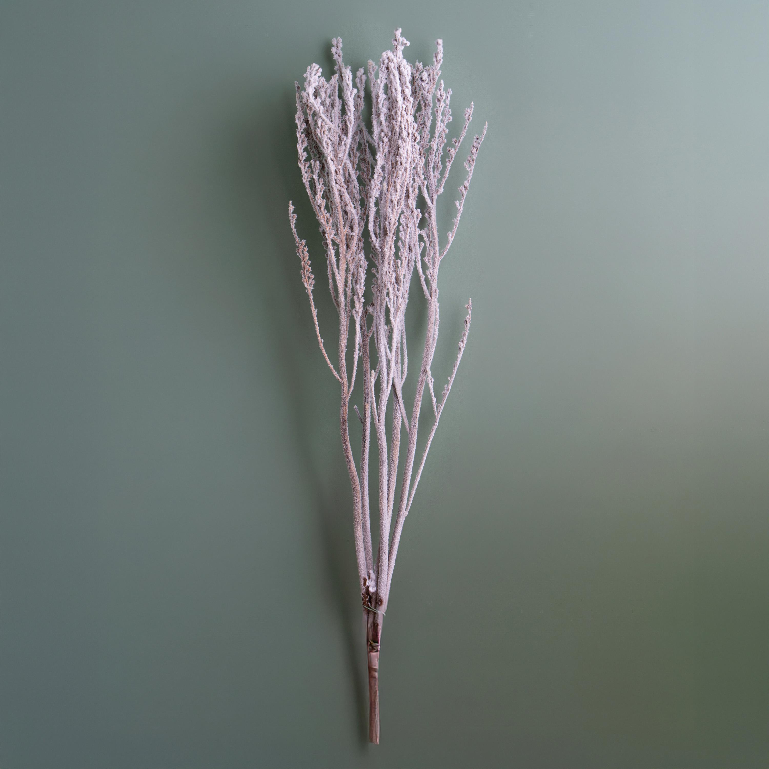 CHRISTMAS ITEMS, DRIED FLOWERS AND STEM ITEMS FOR CHRISTMAS, RAMI 115 CM 5 PZ TIPO EUCALIPTHUS NEV.