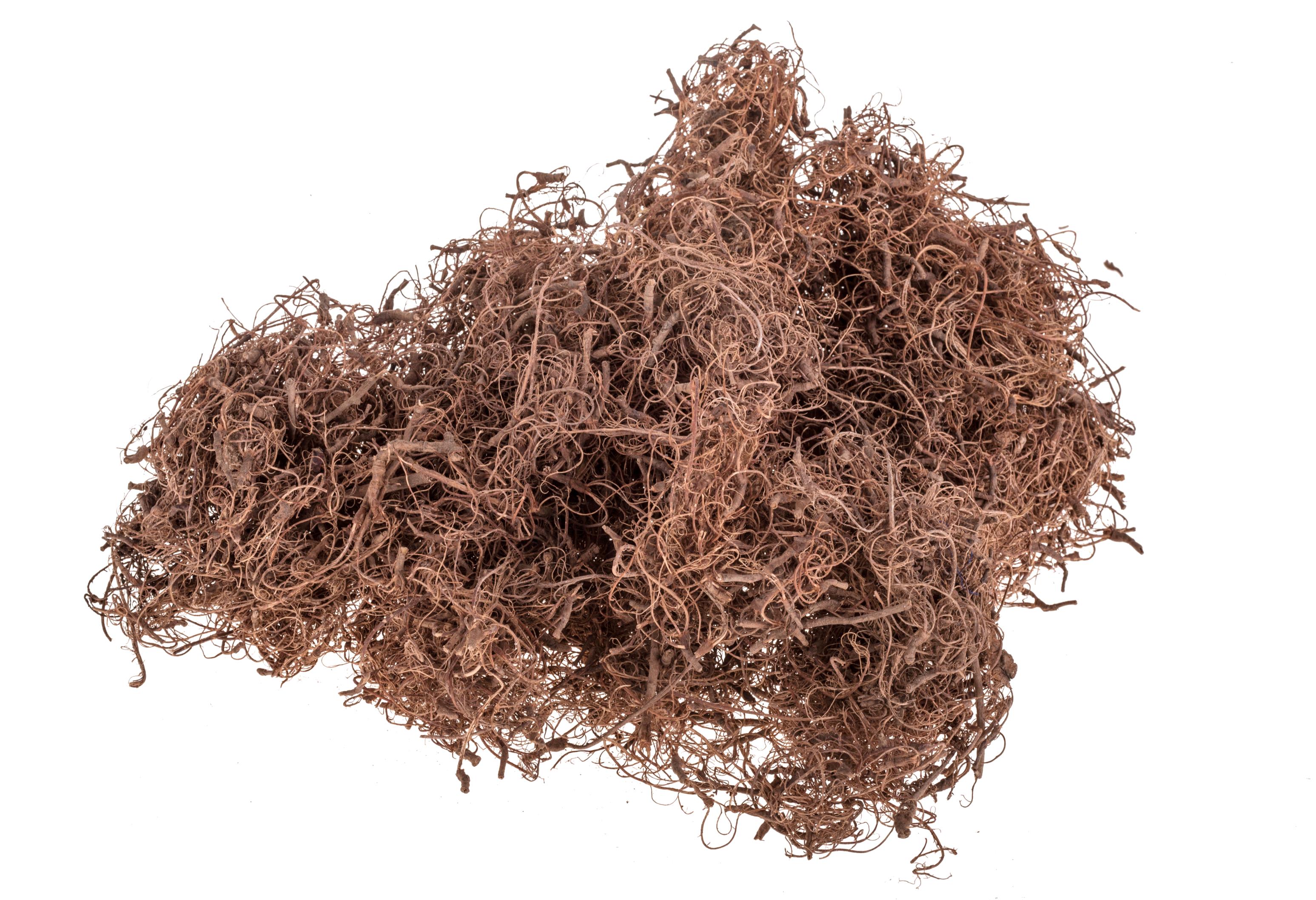 NATURAL PRODUCTS DRIED FLOWERS AND ERBS, Cinnamon, raffia, wood slices,sisal pout-porry etc, CURLY MOSS NAT 500 GR