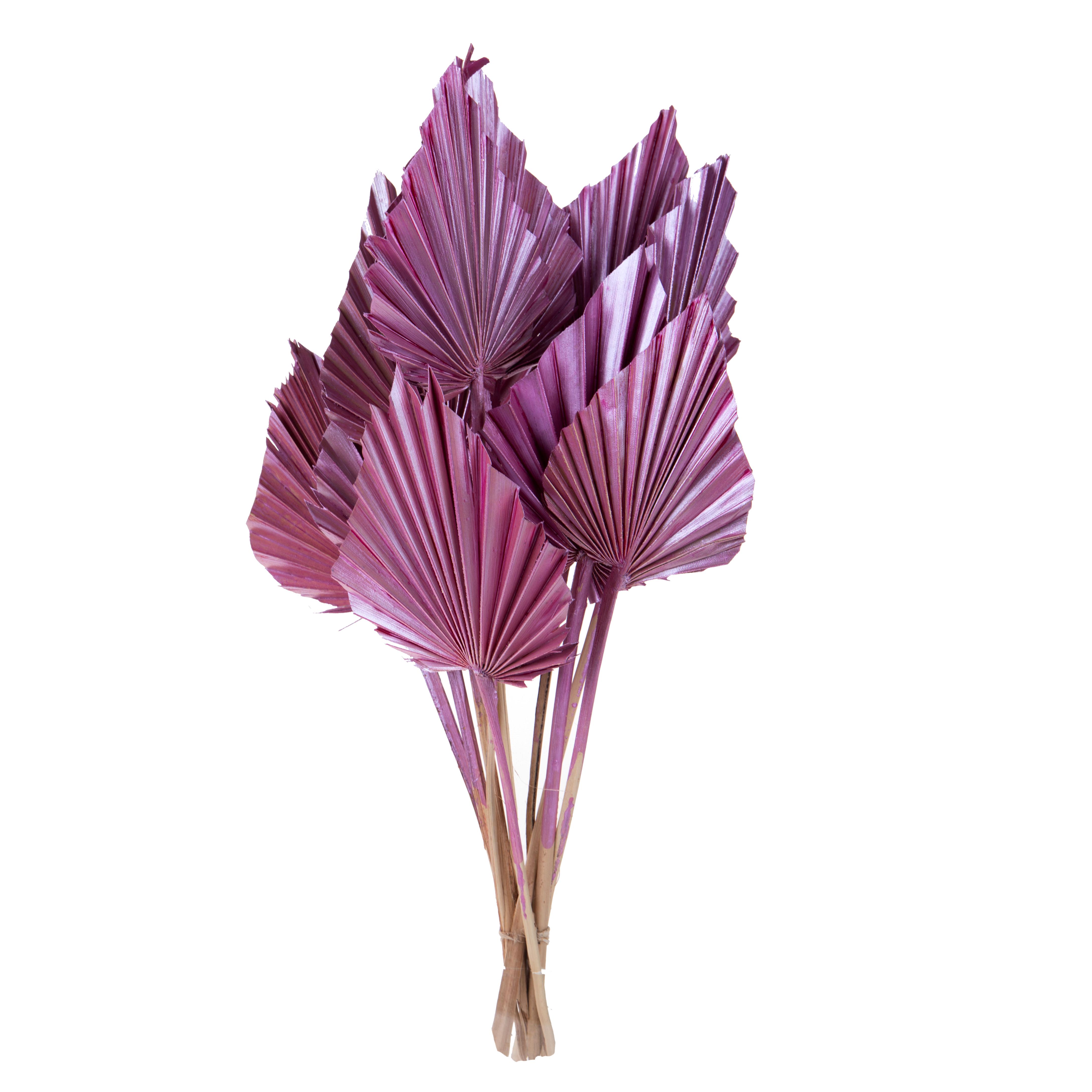 CHRISTMAS ITEMS, DRIED FLOWERS AND STEM ITEMS FOR CHRISTMAS, PALM SPEAR 10 PZ 55 CM METALLICO