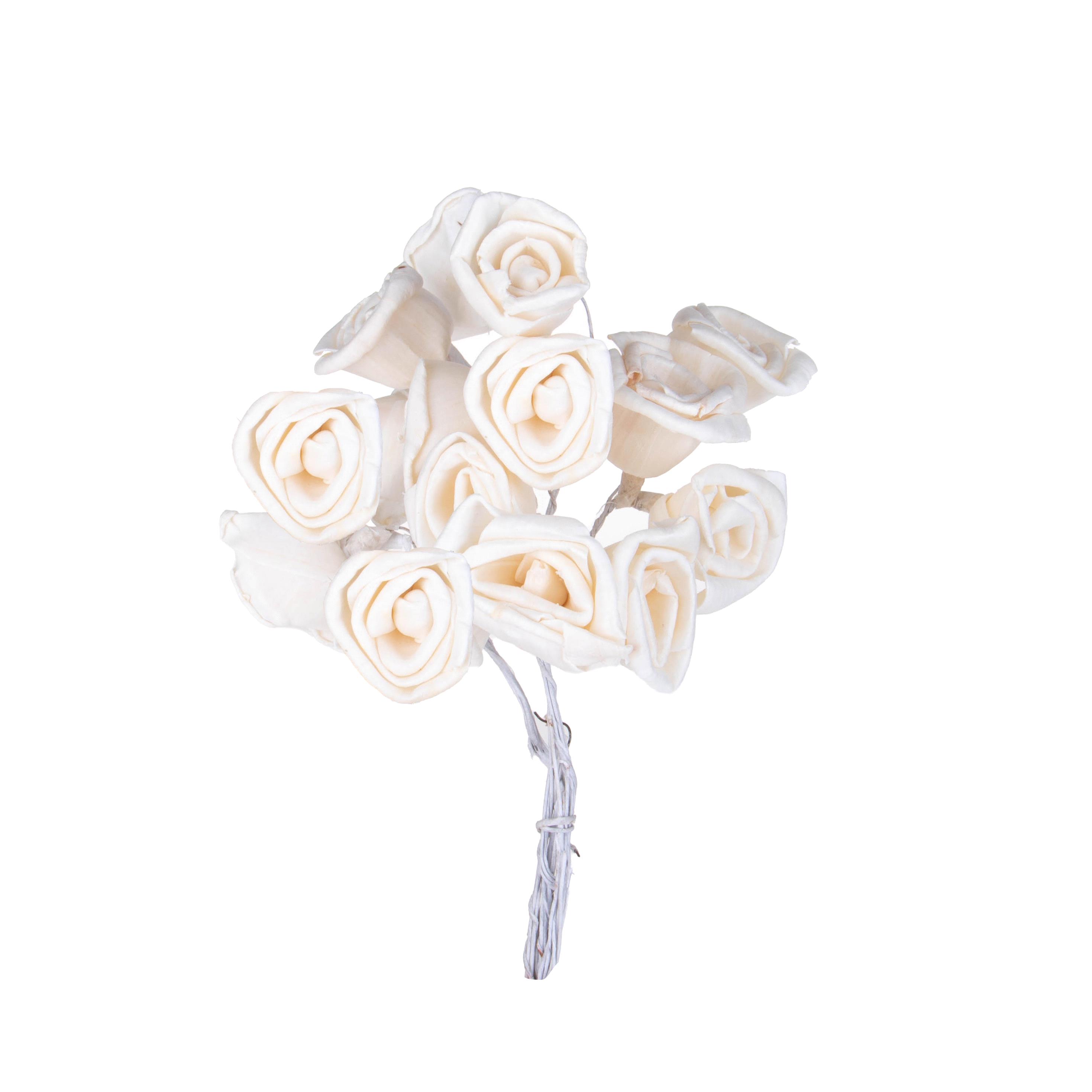 ROSE SOLA 3 CM 15 Pz NAT