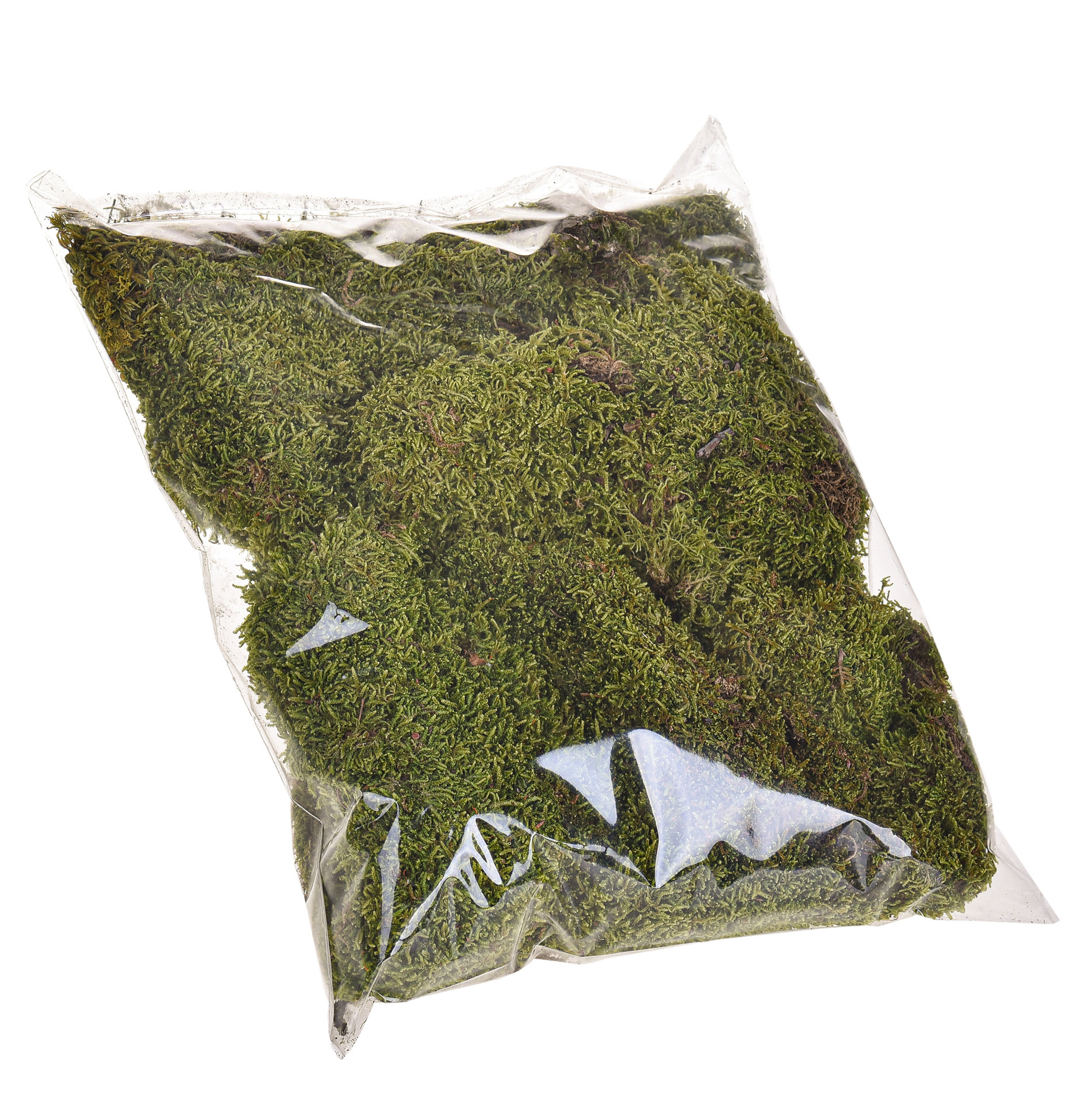 PLANTS, GREENERY , MOOS, palm preserved or natural, MUSCHIO STESO 90 GR SACCO