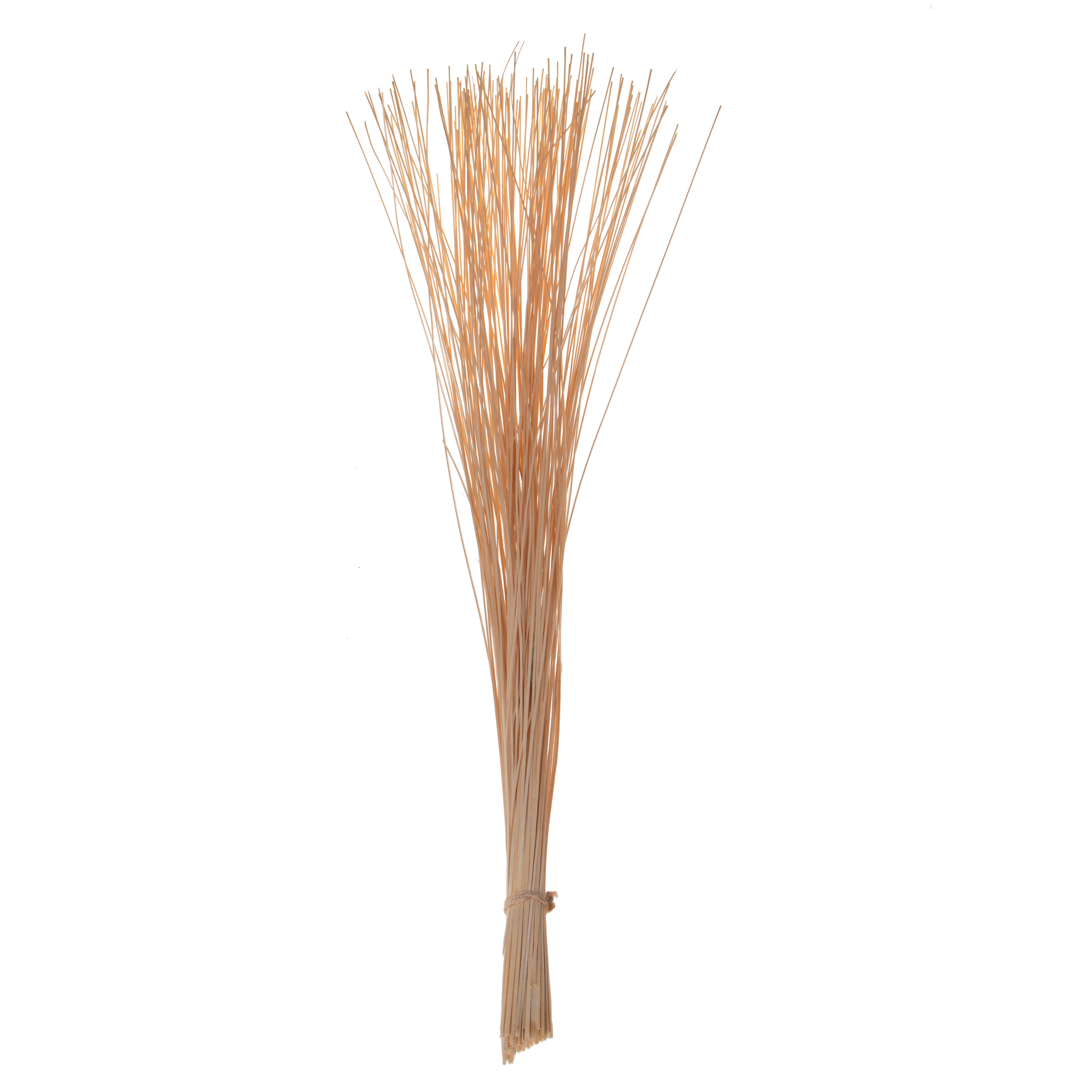 NATURAL PRODUCTS DRIED FLOWERS AND ERBS,LEGNO STRISCE 130 cm