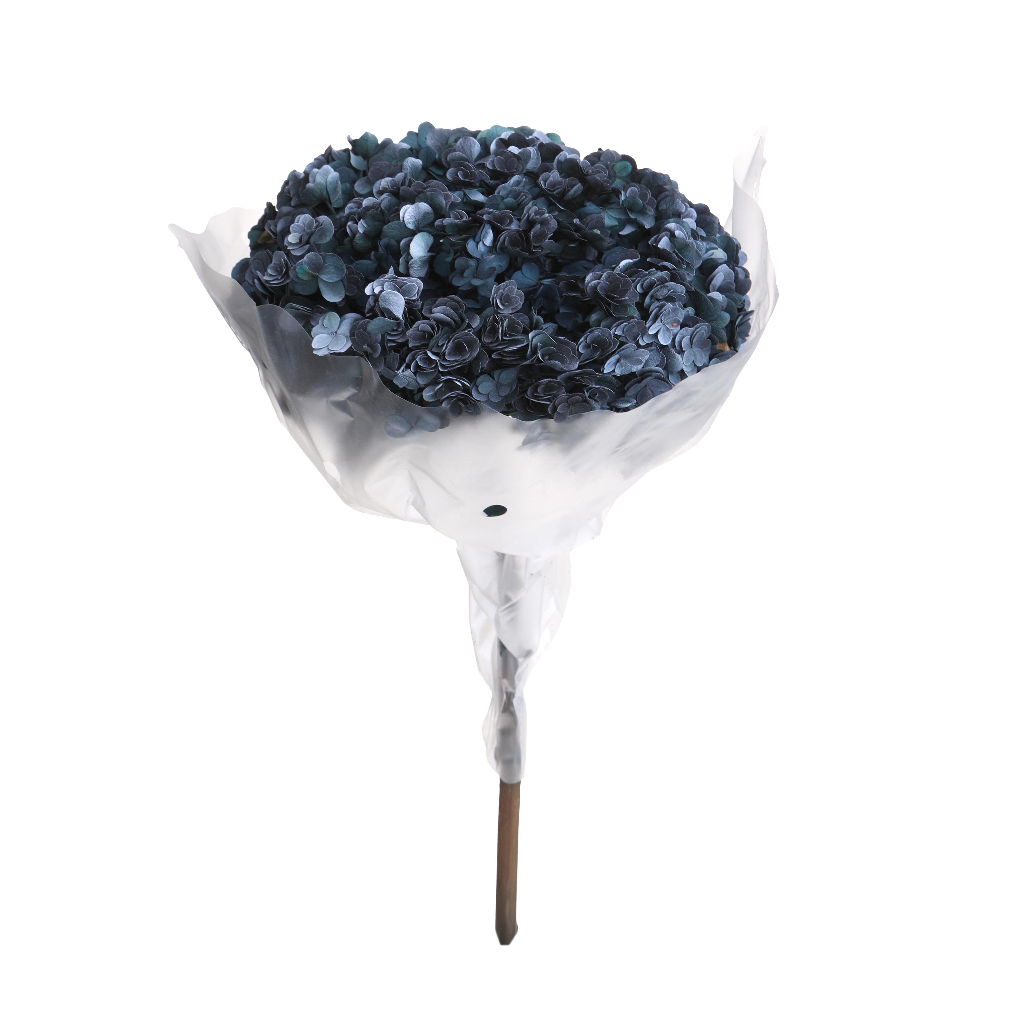 ORTENSIA 60 CM 1/2 PZ PRESERVA.AUTUN