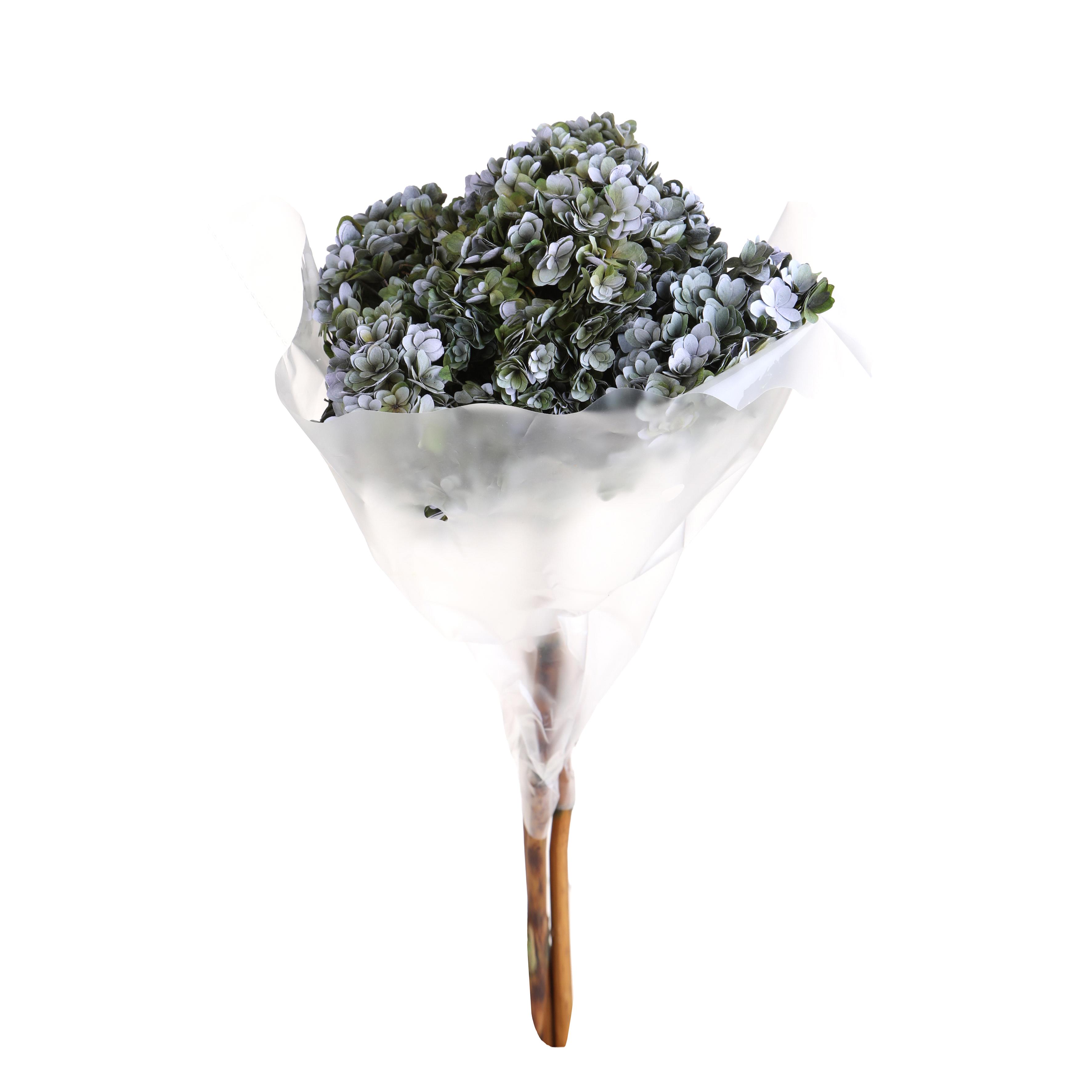 ORTENSIA 60 CM 1/2 PZ PRESERVA.AUTUN