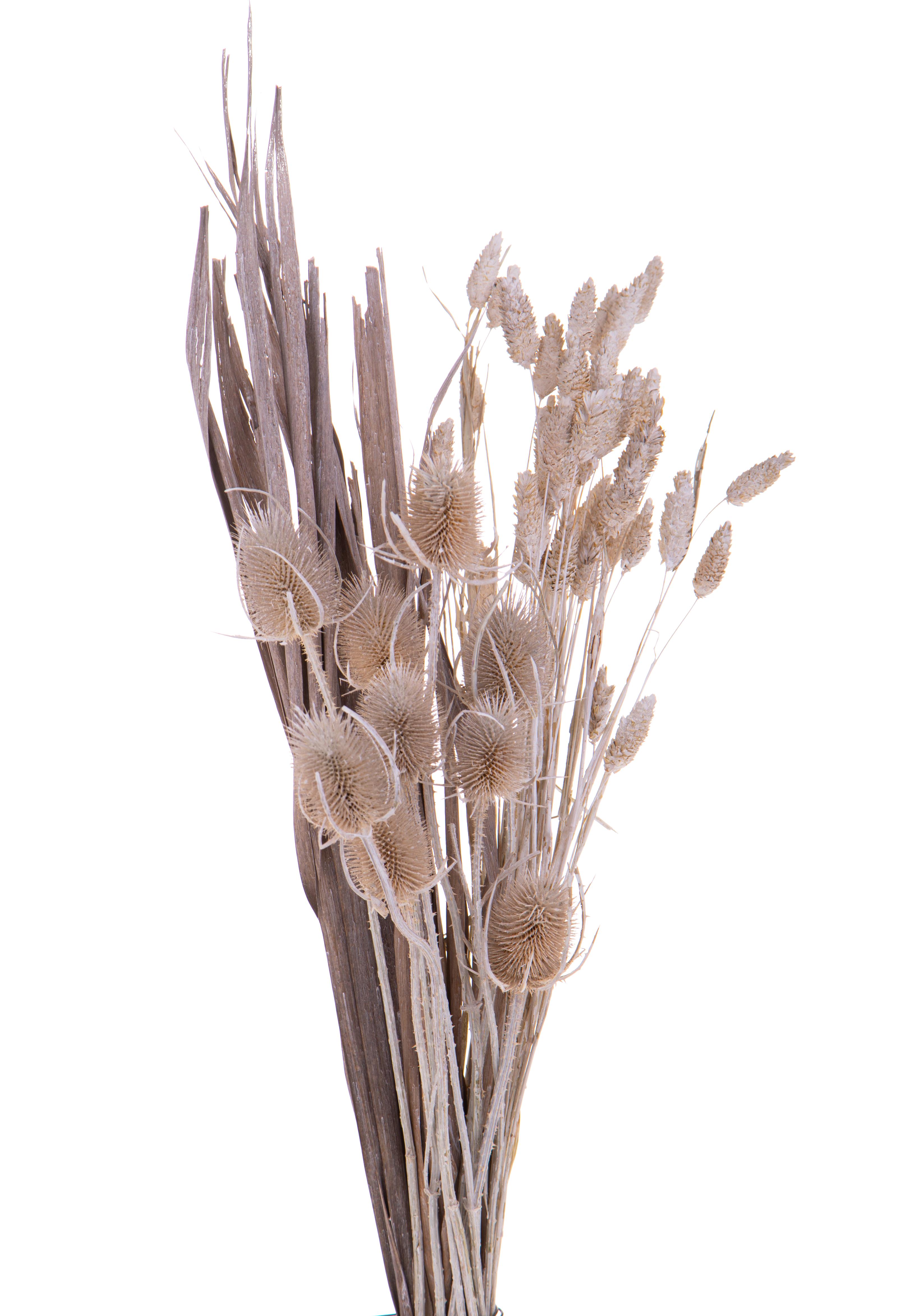 NATURAL PRODUCTS DRIED FLOWERS AND ERBS, BUSH FLOWERS DECORATIONS, MAZZO AZZORTITO CALCINATO