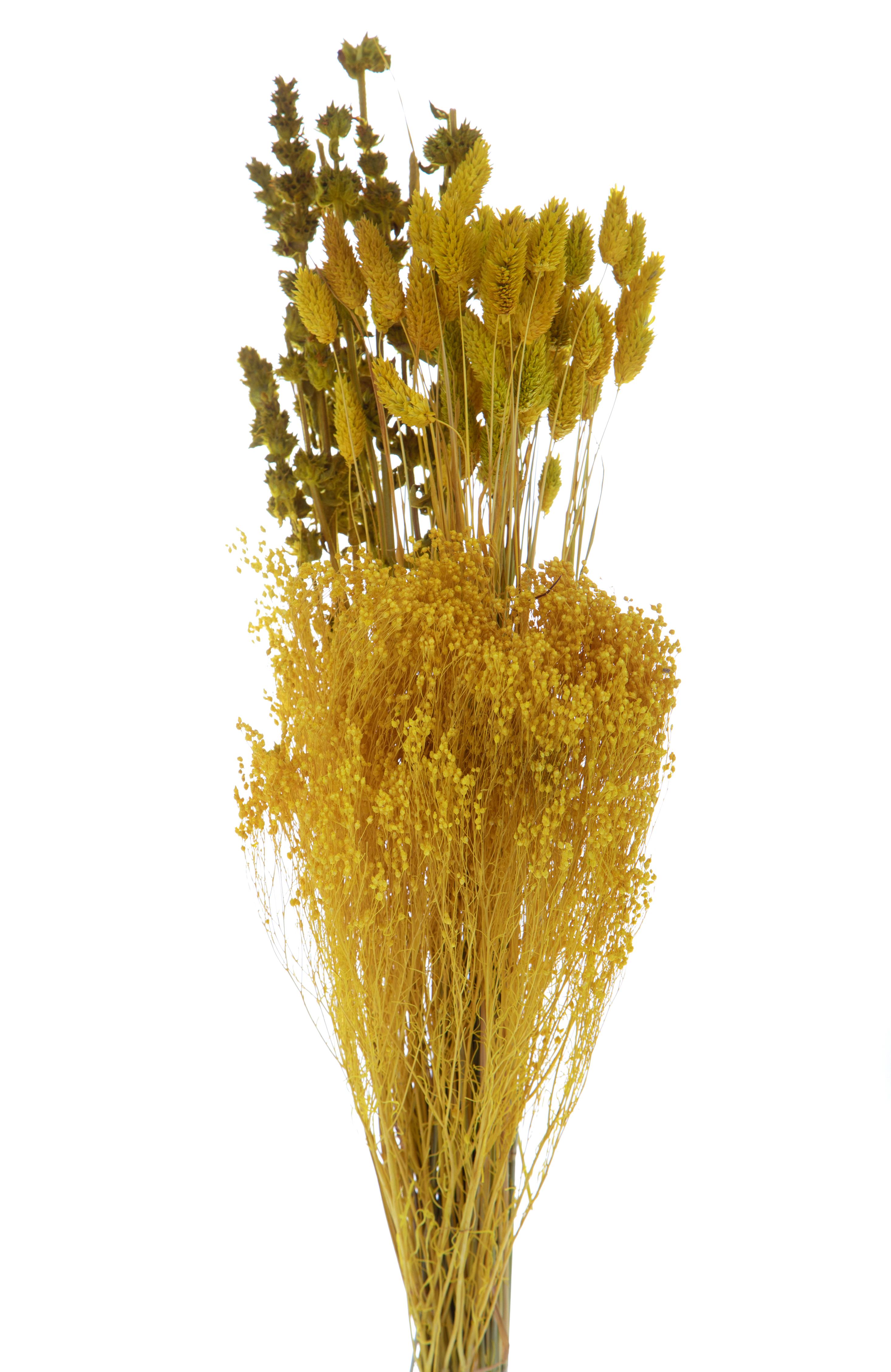 NATURAL PRODUCTS DRIED FLOWERS AND ERBS,MAZZO ASSORTITO BROOM BLOOM COL