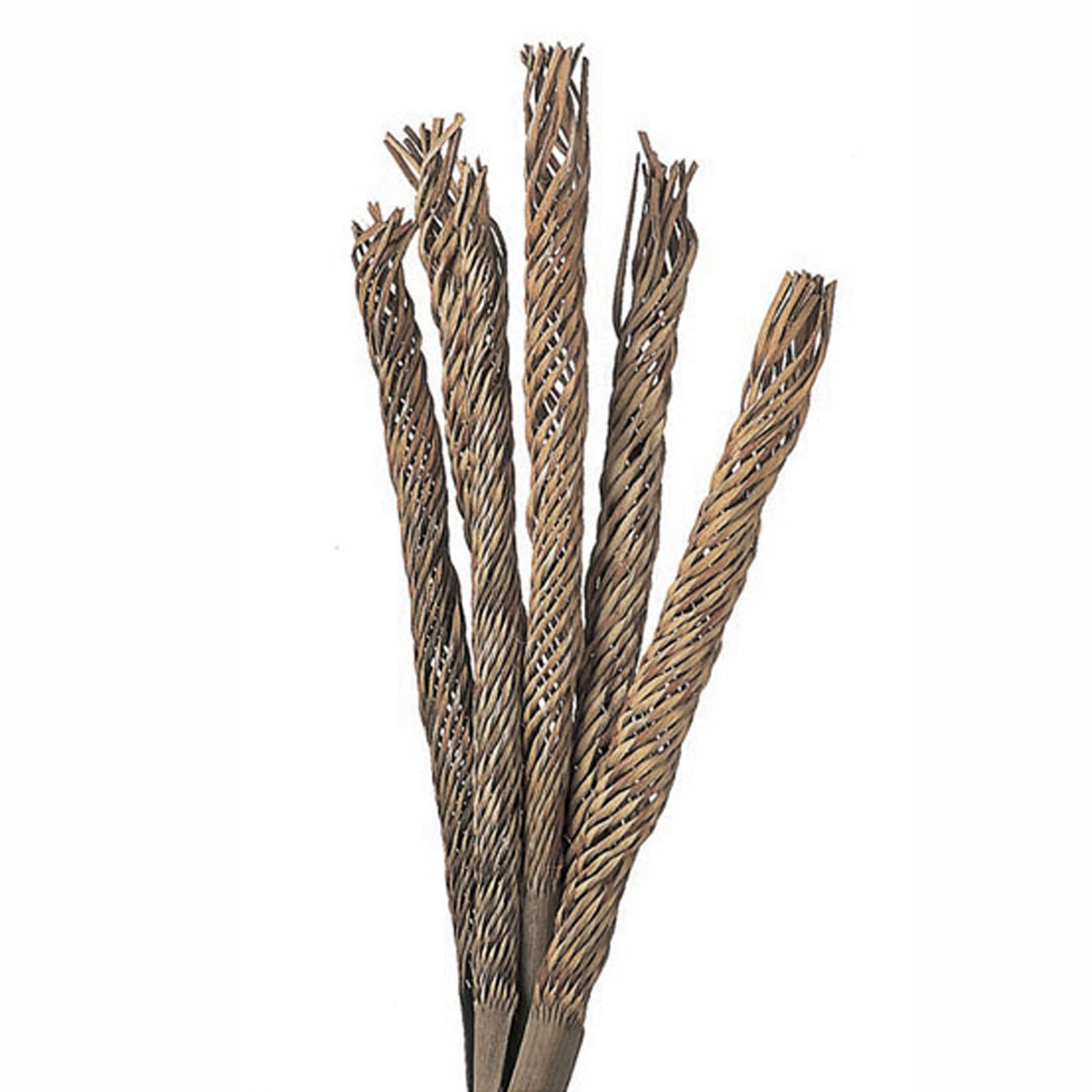 NATURAL PRODUCTS DRIED FLOWERS AND ERBS,COCO ROLL 6 PZ 55 CM NAT.
