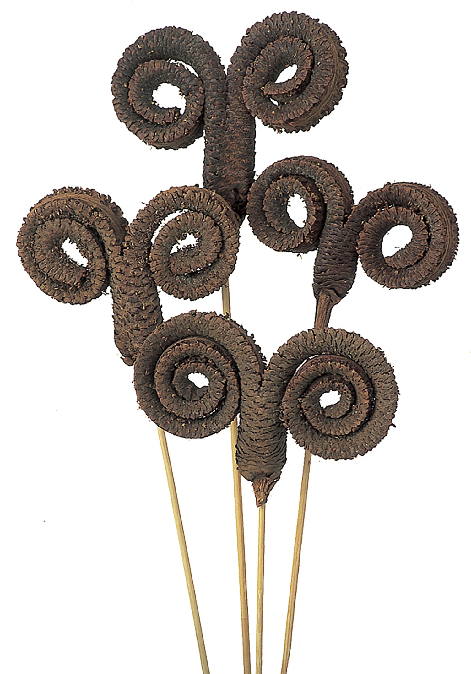 NATURAL PRODUCTS DRIED FLOWERS AND ERBS, Cones and fruits with stem, PALM RING 6 PZ 70 CM GAMBATO N,