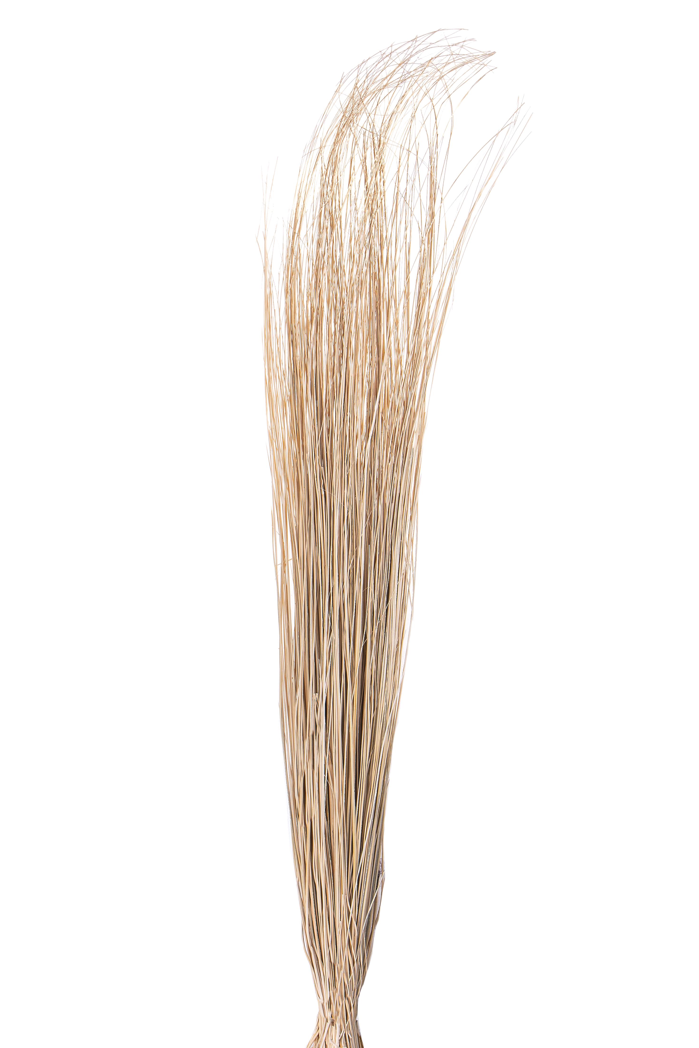 SALICCHIO GRASS 140 CM MAZZO PICC SBIANC