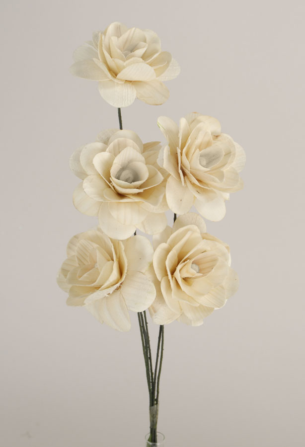 ROSE TRUCIOLO 10 PZ D 5 CM