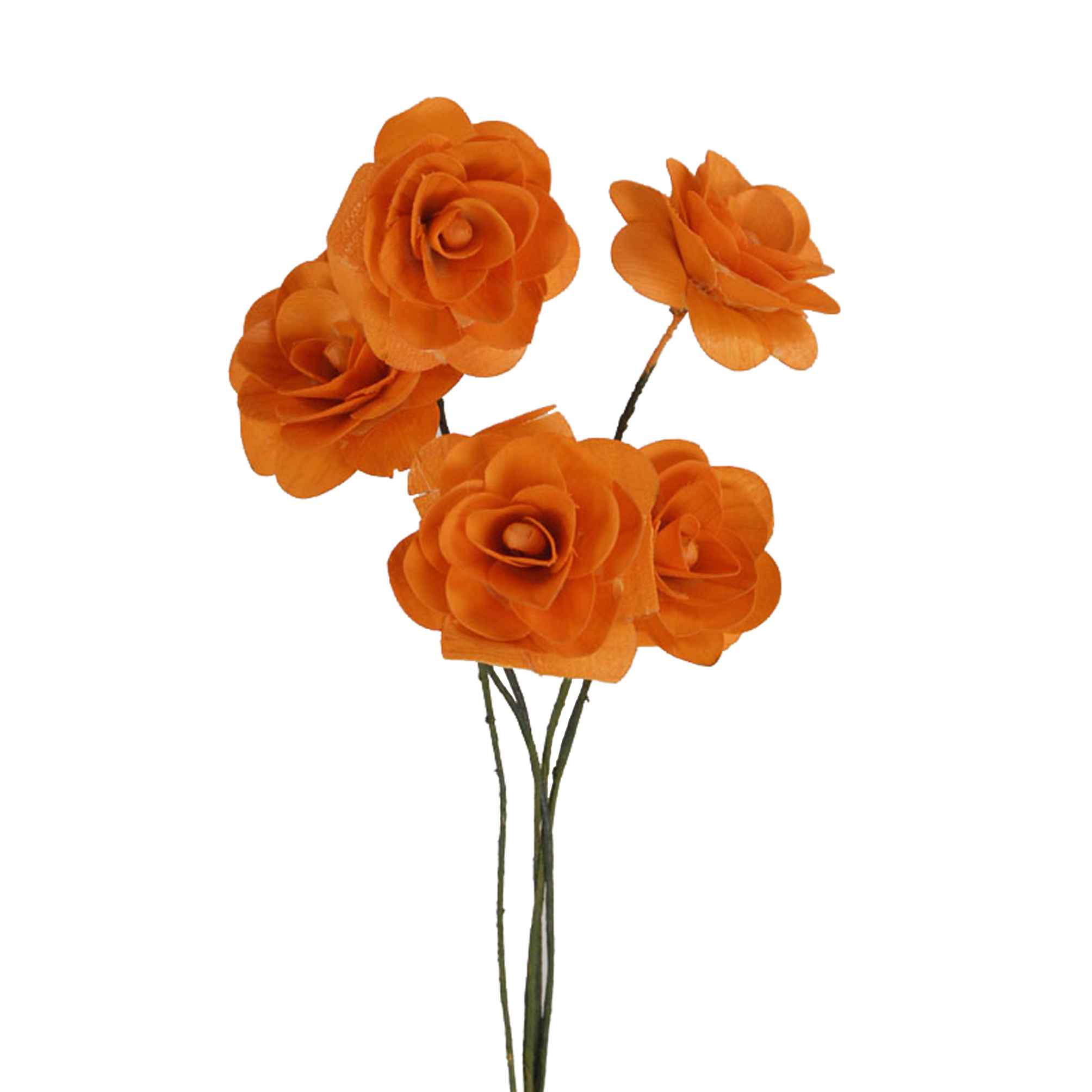 ROSE TRUCIOLO 10 PZ D 5 CM COLORATE
