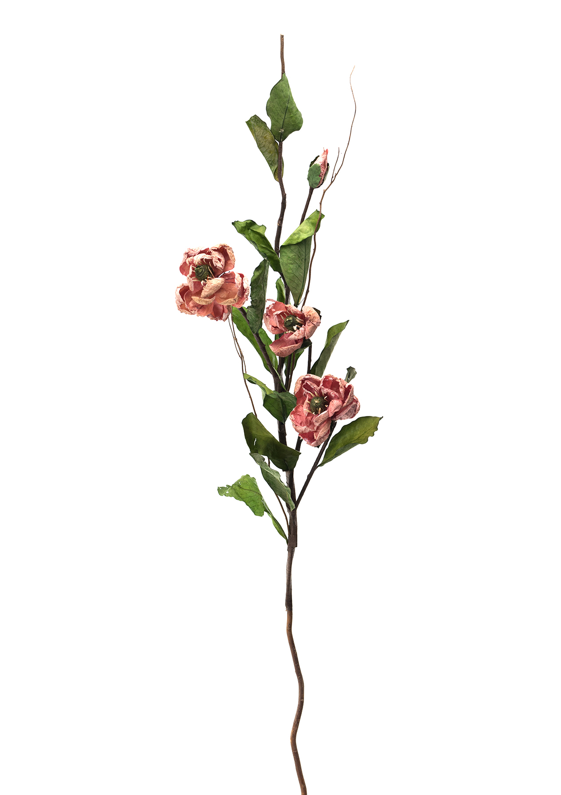 Fleurs artificielles,Plantes fleuries en vase,PEONIA 3 F+1 B 130 CM NATURALE**SC