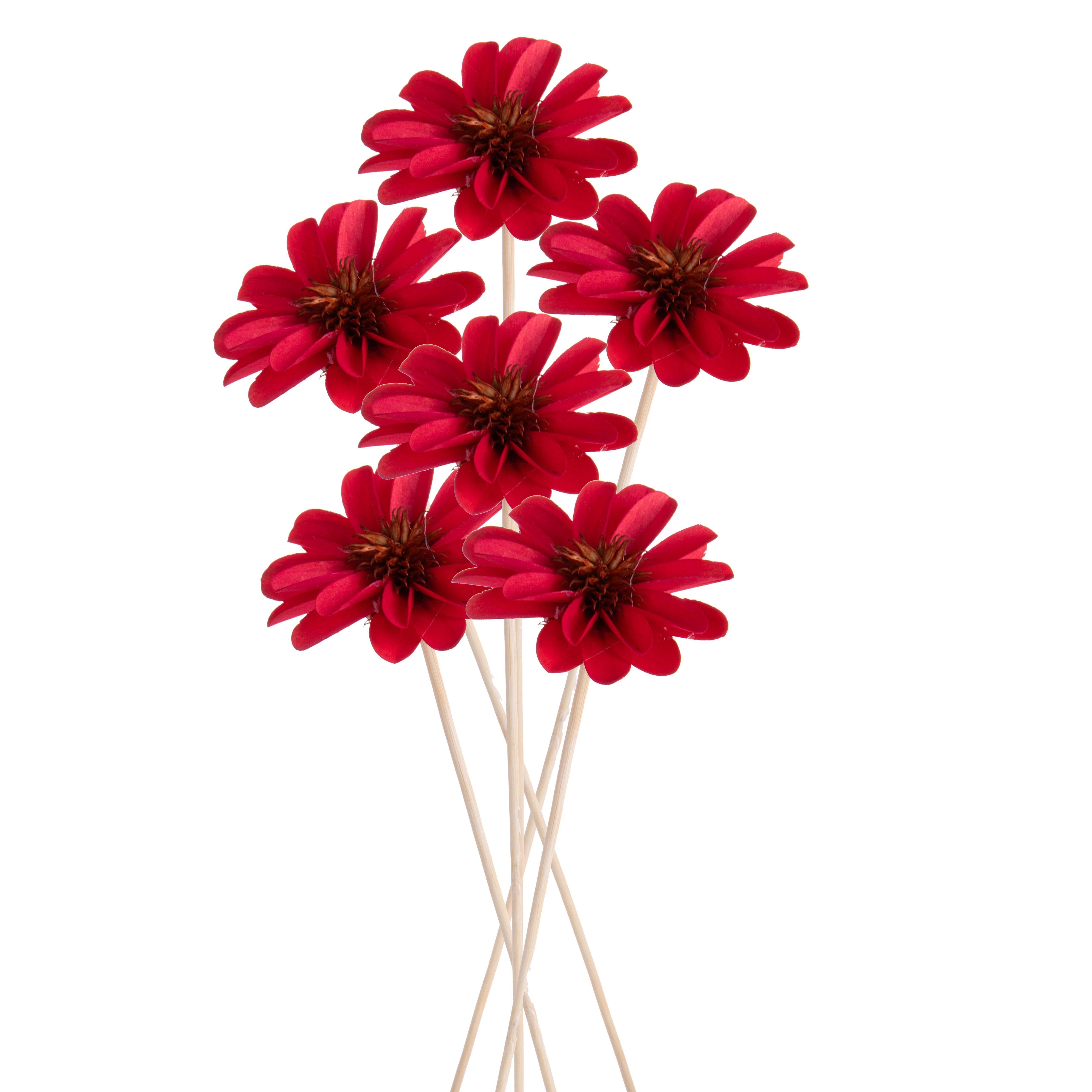 DALIA DOPPIA 6 PCS 60 CM