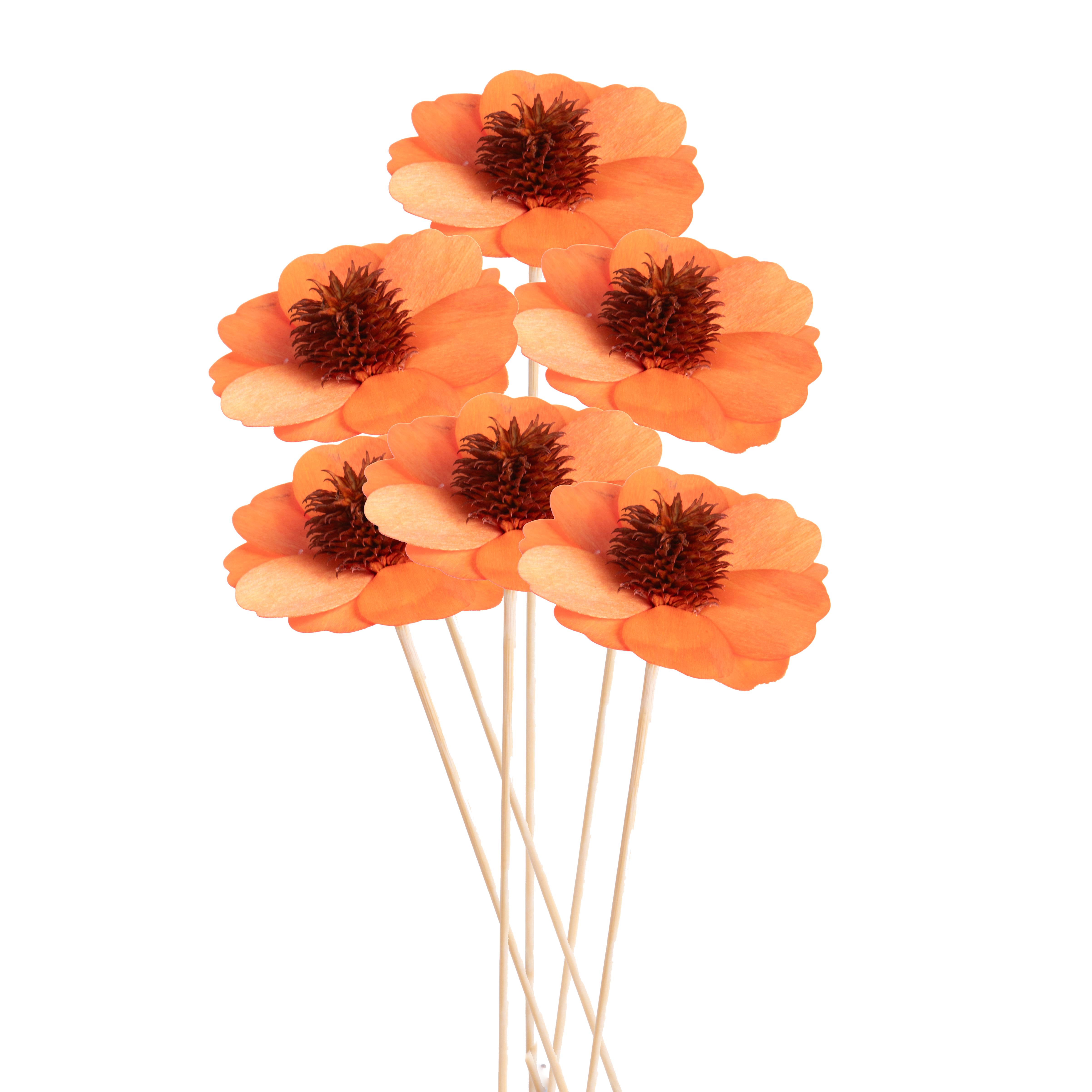 FIORI ASTRO 6 PCS 60 CM DM 8,5 C.A.