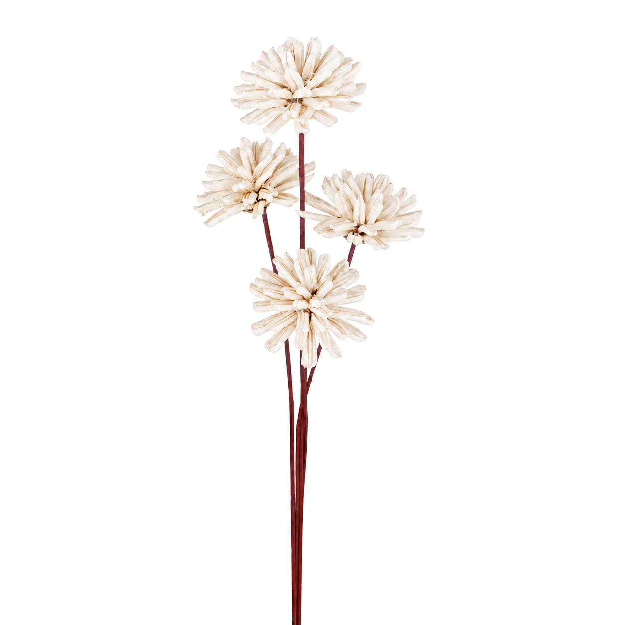 DALIA SFERA 4 PCS 60 CM