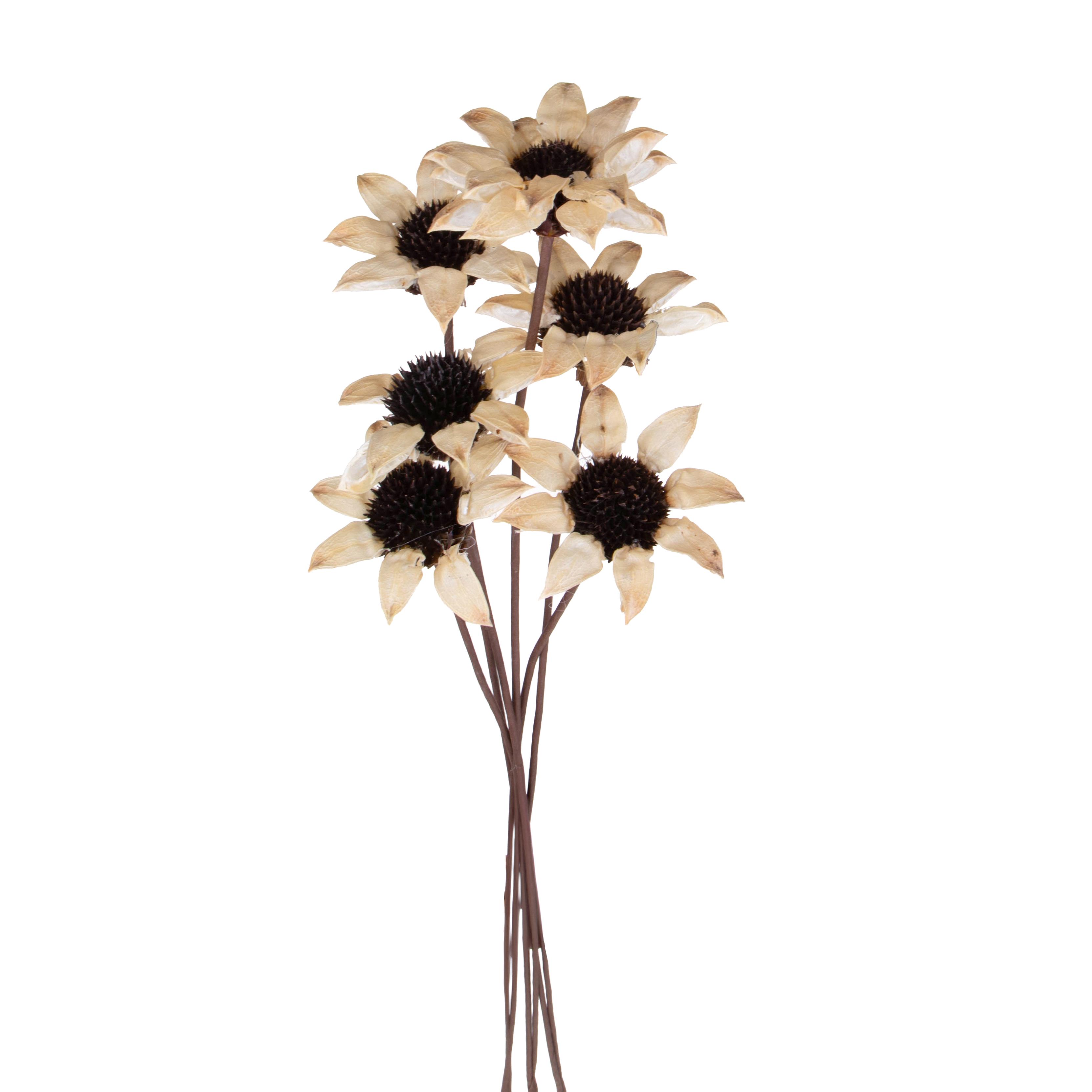 GIRASOLE 6 PCS VINTAGE 60 CM