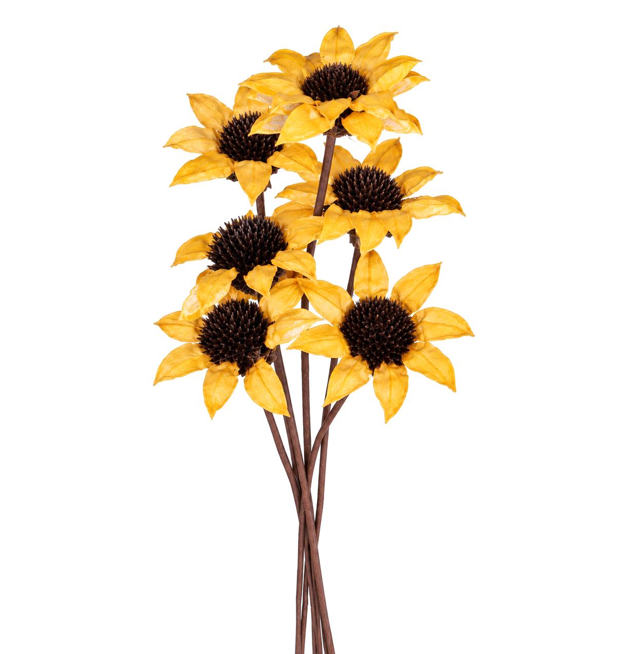GIRASOLE 6 PCS VINTAGE 60 CM