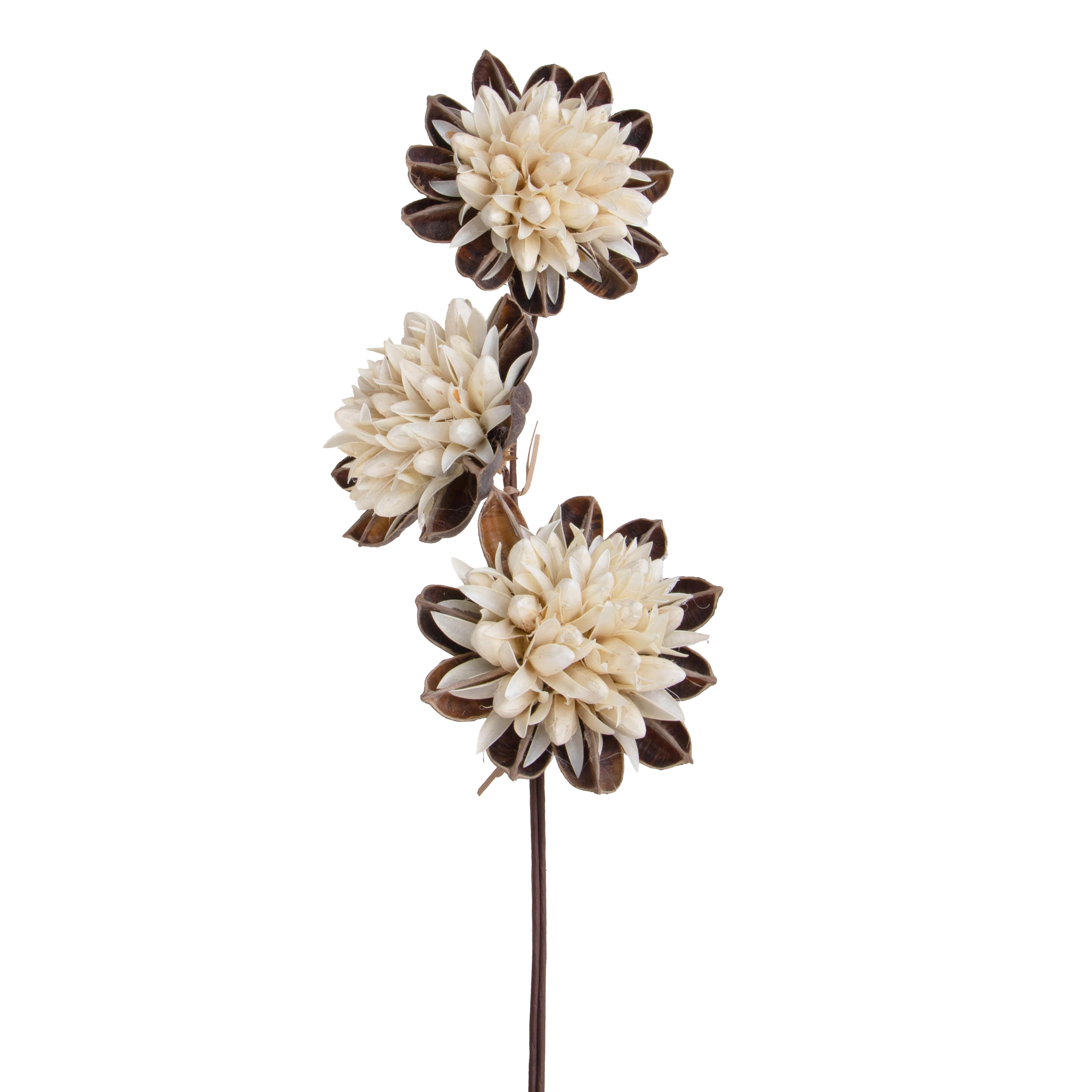 LOTUS 3 PCS 60 CM
