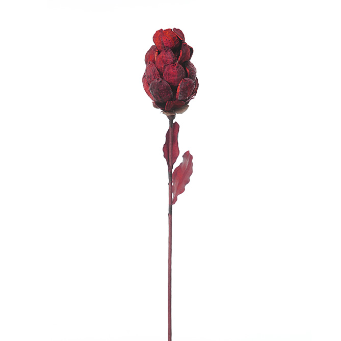 CARCIOFO 1 PZ 70CM NATURALE **SC