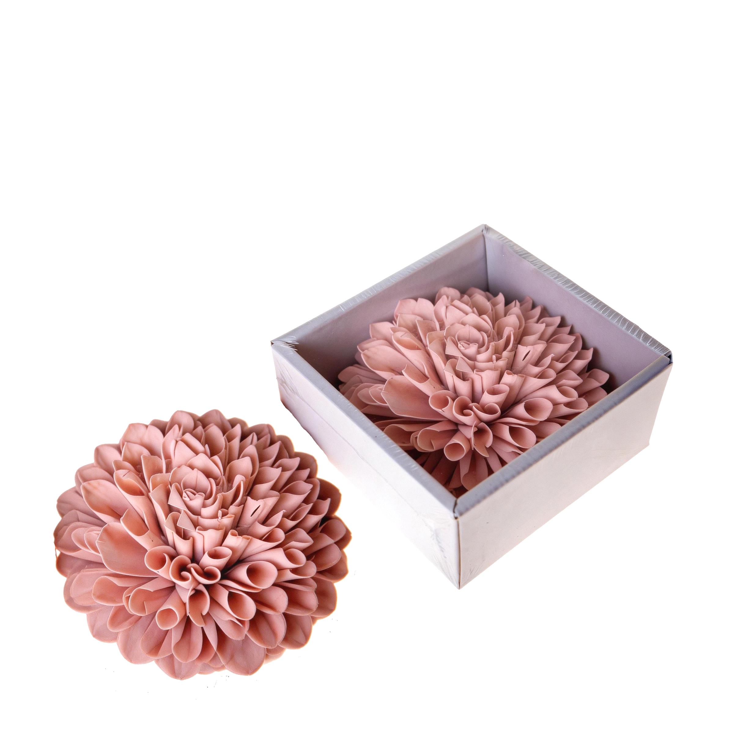 DALIA BINGO 20 CM IN BOX