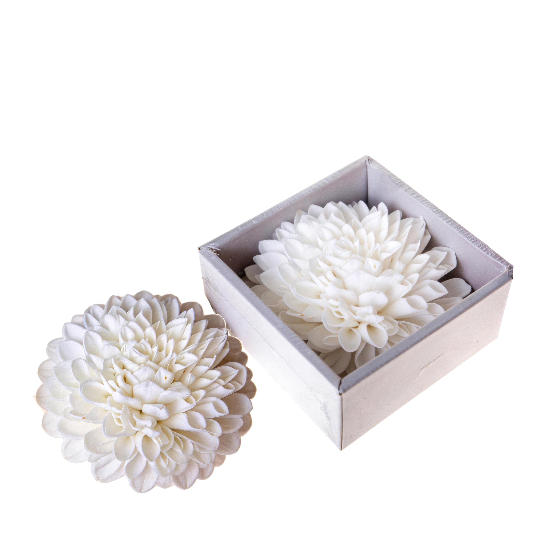 DALIA BINGO 20 CM IN BOX