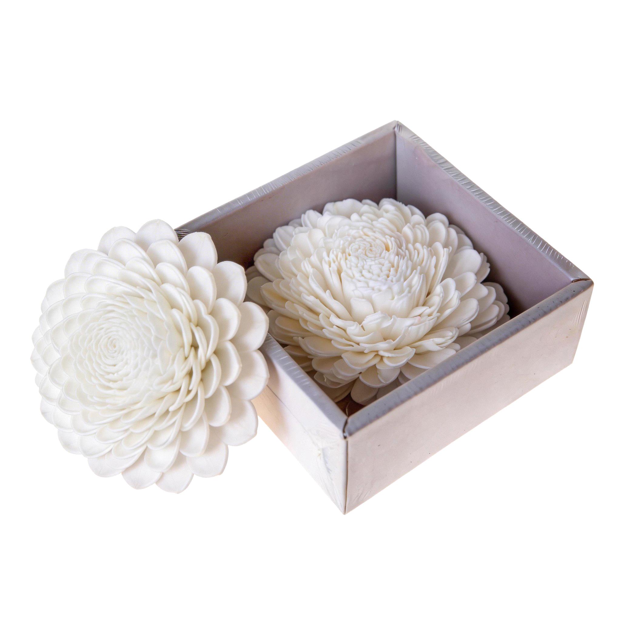 DALIA BELLY 15 CM IN BOX