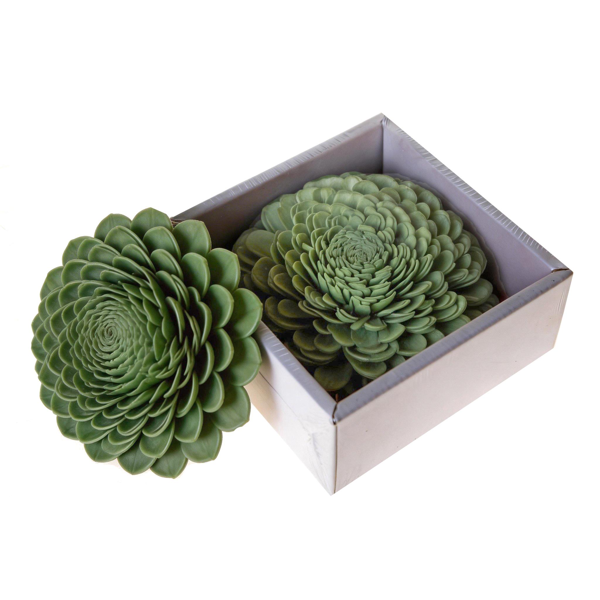 DALIA BELLY 15 CM IN BOX