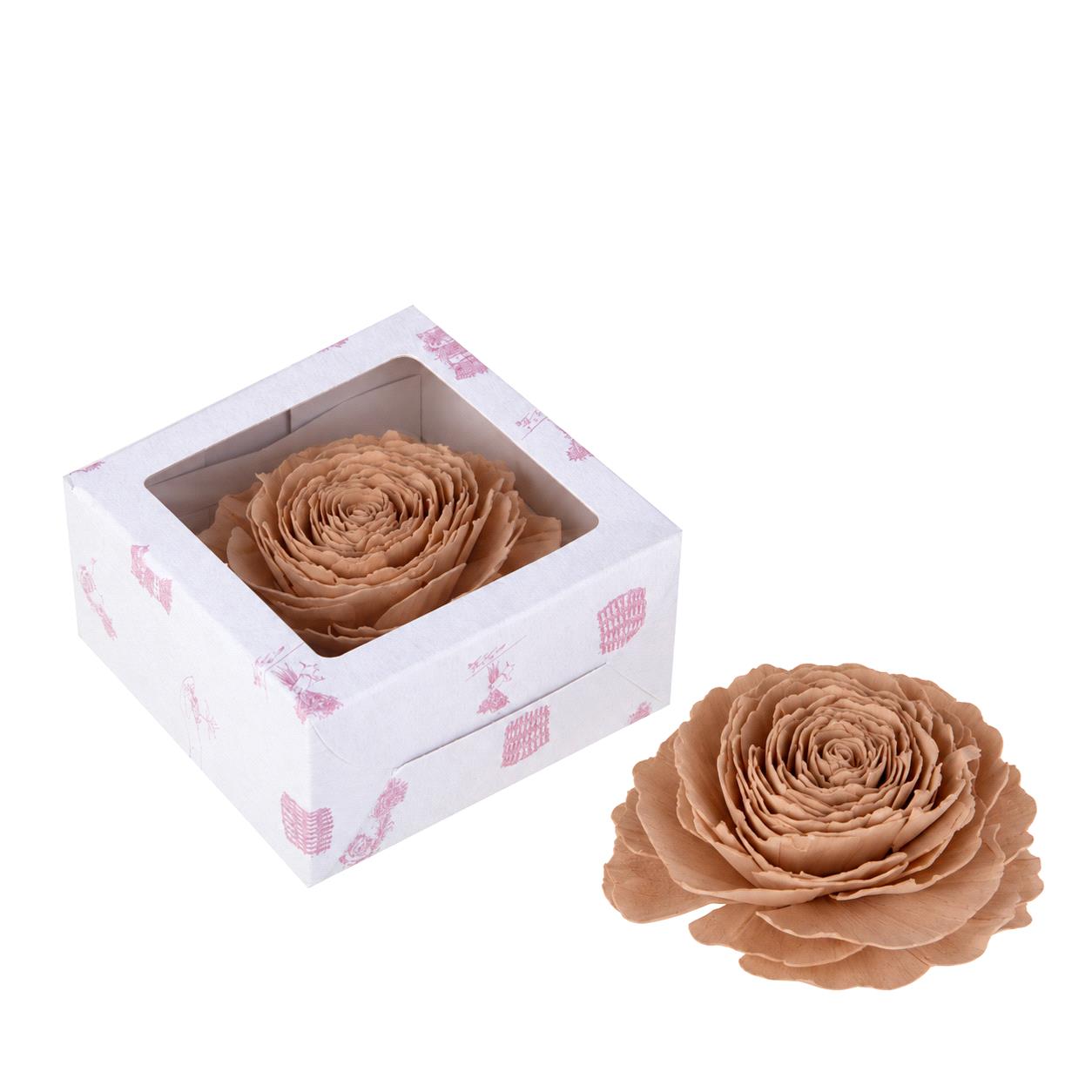 DALIA BEAUTY 12 CM IN BOX
