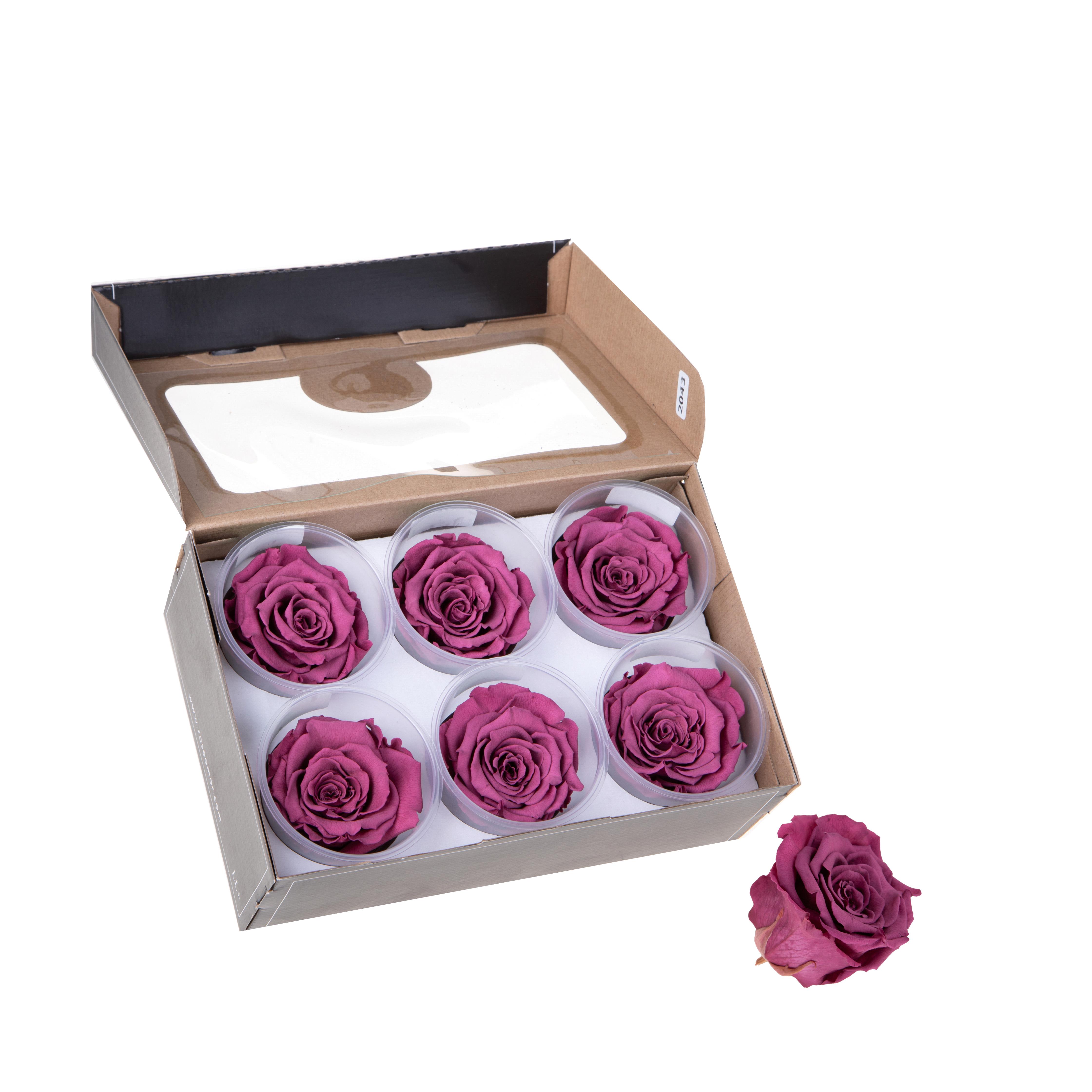 ROSA STABILIZZATA 1 PZ LL D.5 CM