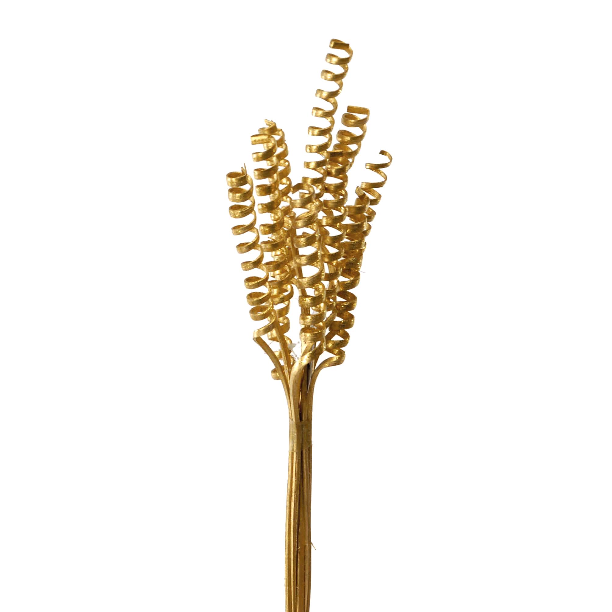 GIUNCHI SPRING JUMBO 8 PZ BRIL. 80 CM CA